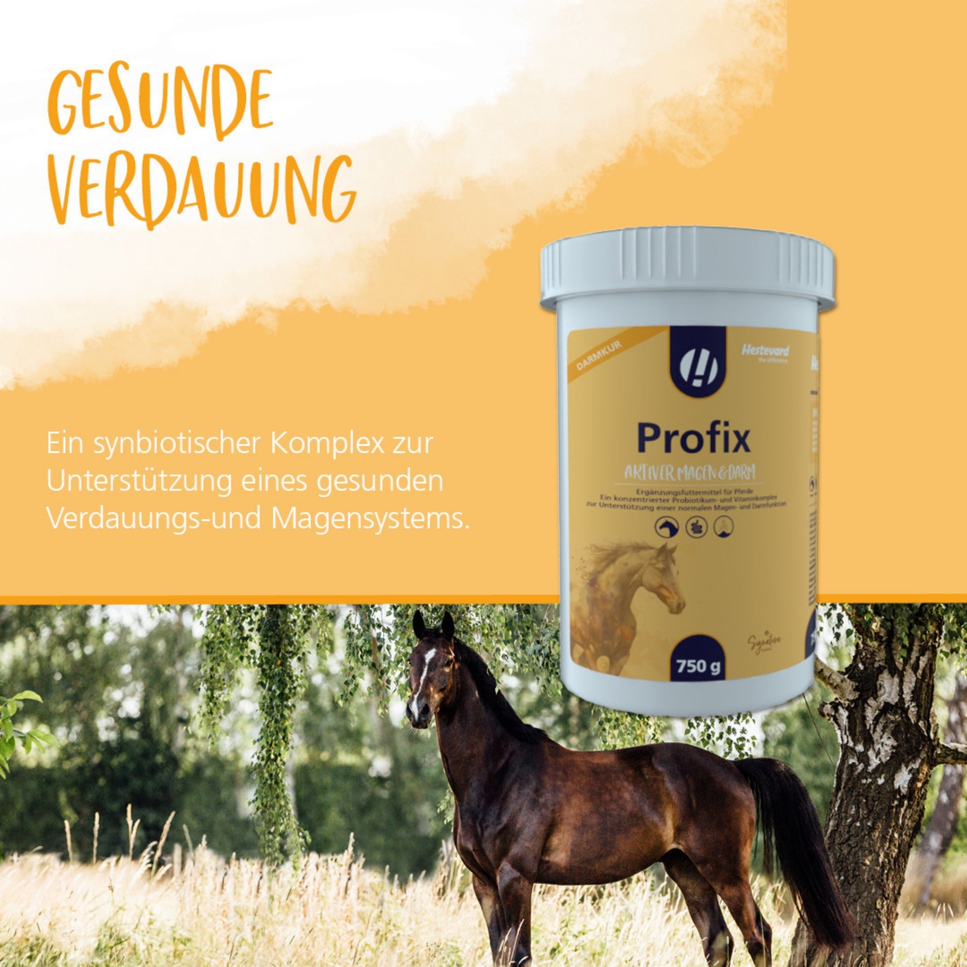 Hestevard Profix für Pferde 750g