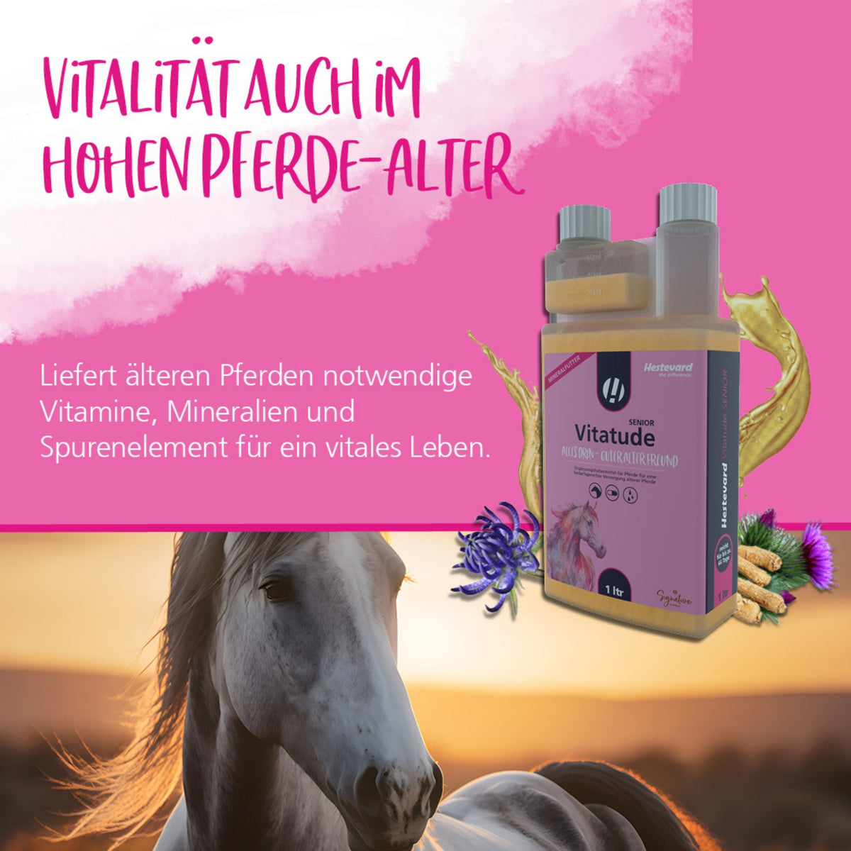 Hestevard Vitatude Senior für Pferde 1000ml