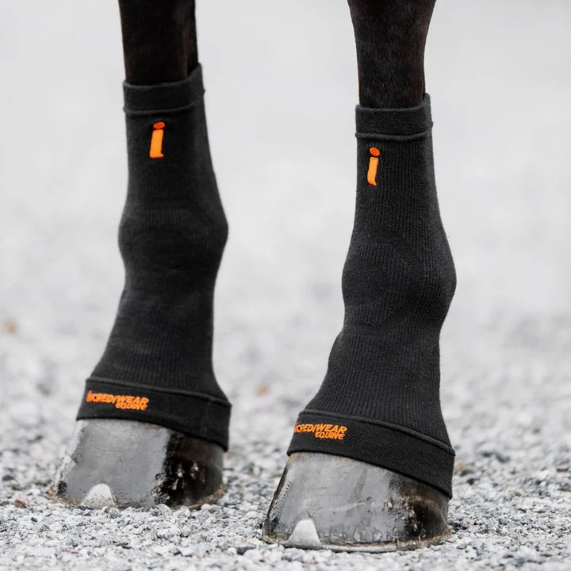 Incrediwear Equine Hoof Socks mit Ice-Effekt schwarz