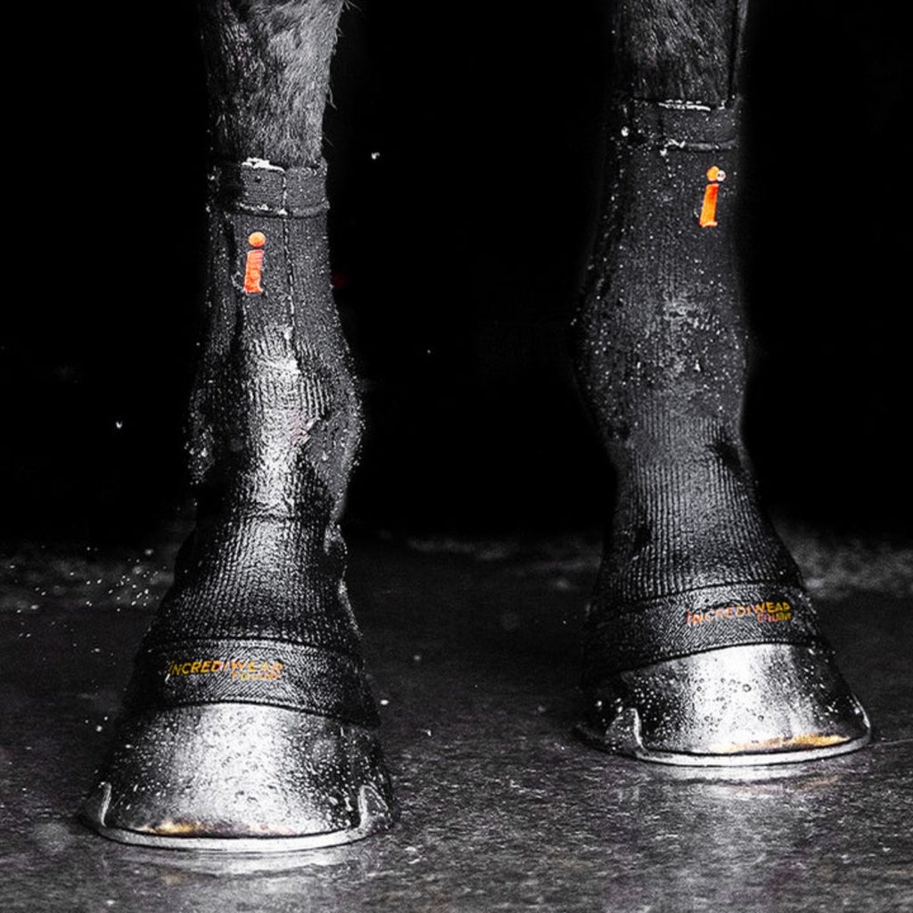 Incrediwear Equine Hoof Socks mit Ice-Effekt schwarz