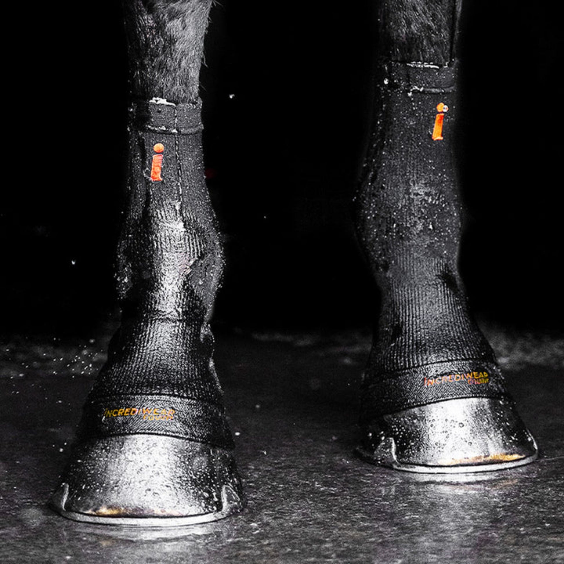 Incrediwear Equine Hoof Socks mit Ice-Effekt schwarz