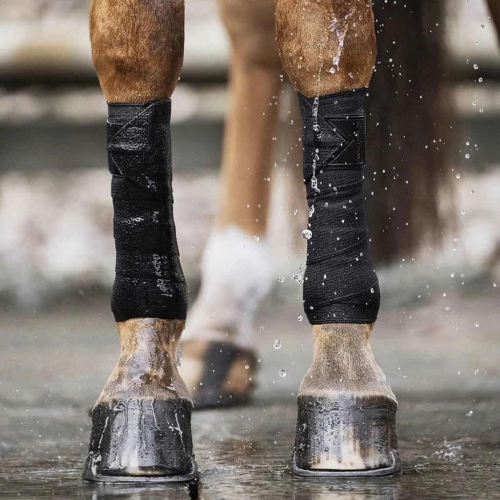 Incrediwear Equine Bandagen schwarz, WB