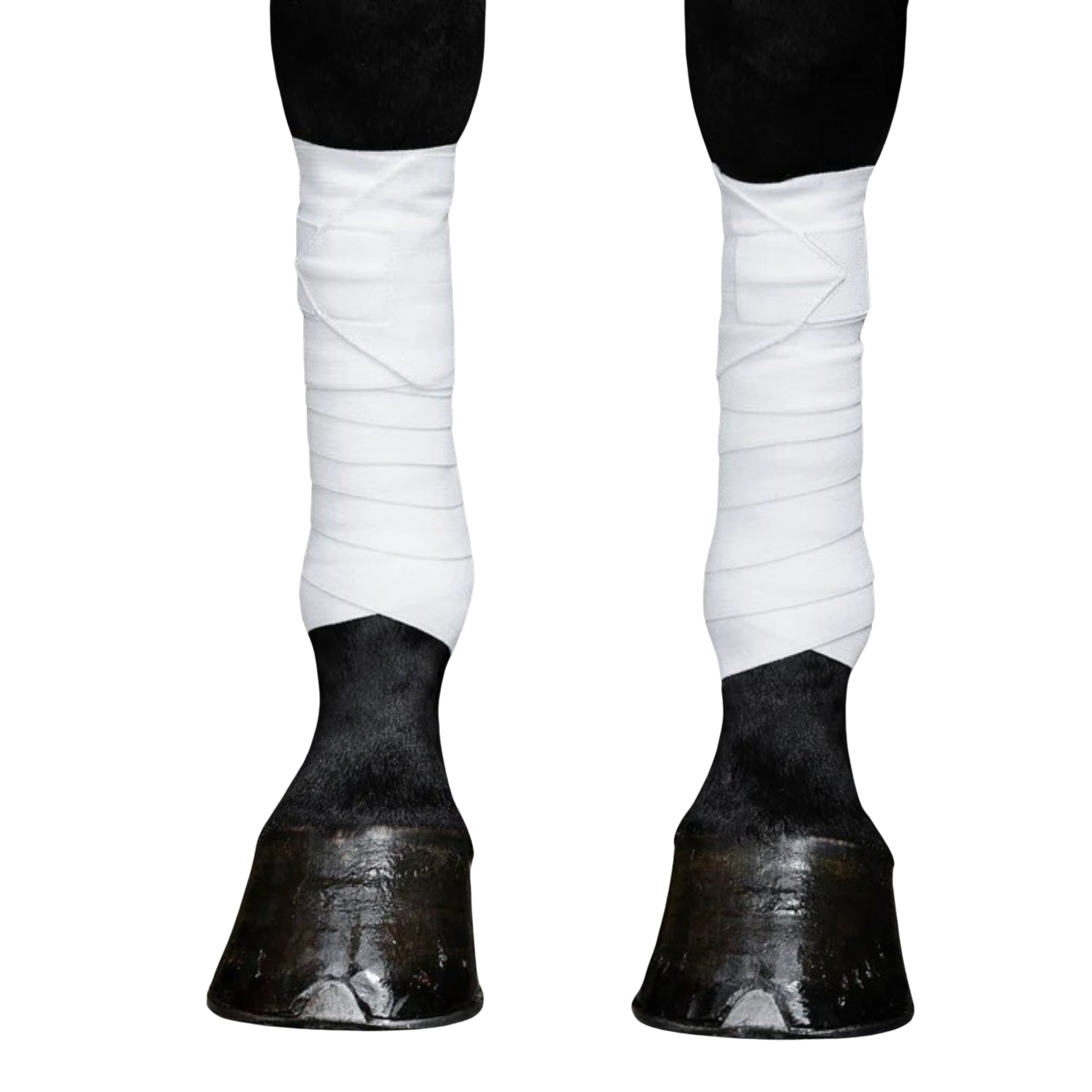 Incrediwear Equine Bandagen weiß, WB