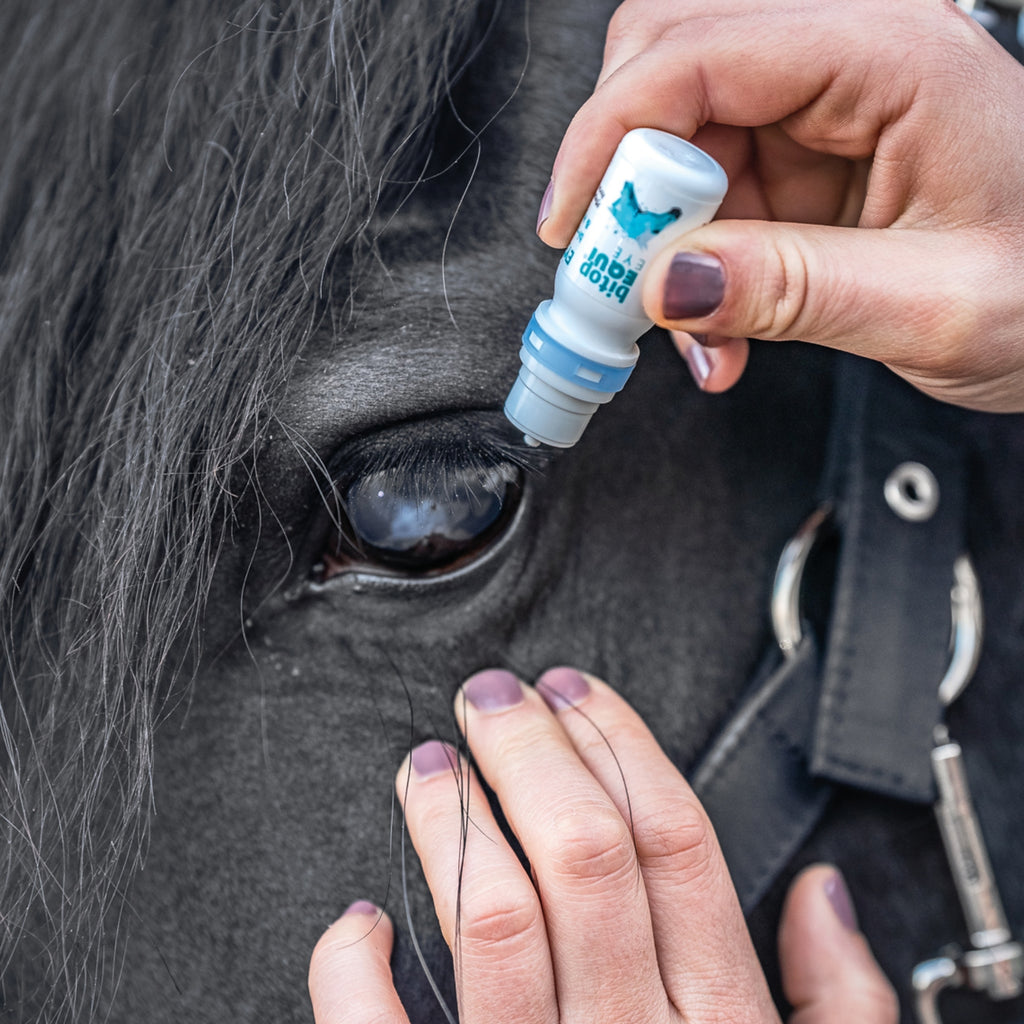bitopEQUI® EYE Drops für Pferde 10ml