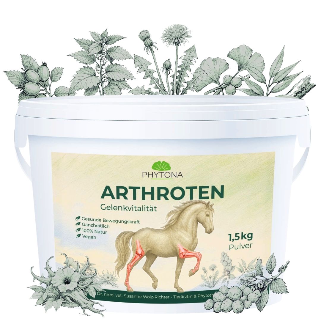 Phytona Arthroten 1500g Gelenkpulver für Pferde