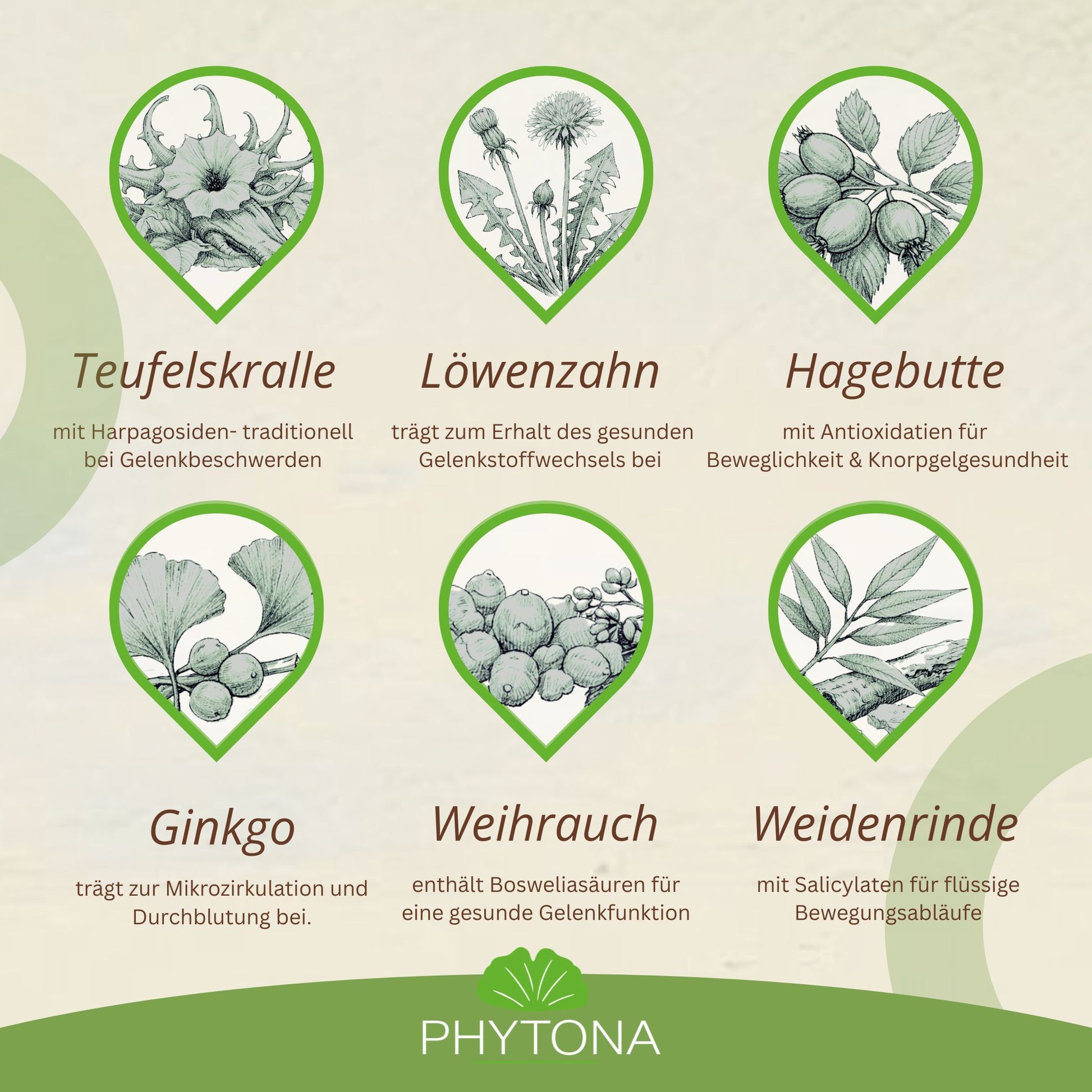 Phytona Arthroten 1500g Gelenkpulver für Pferde