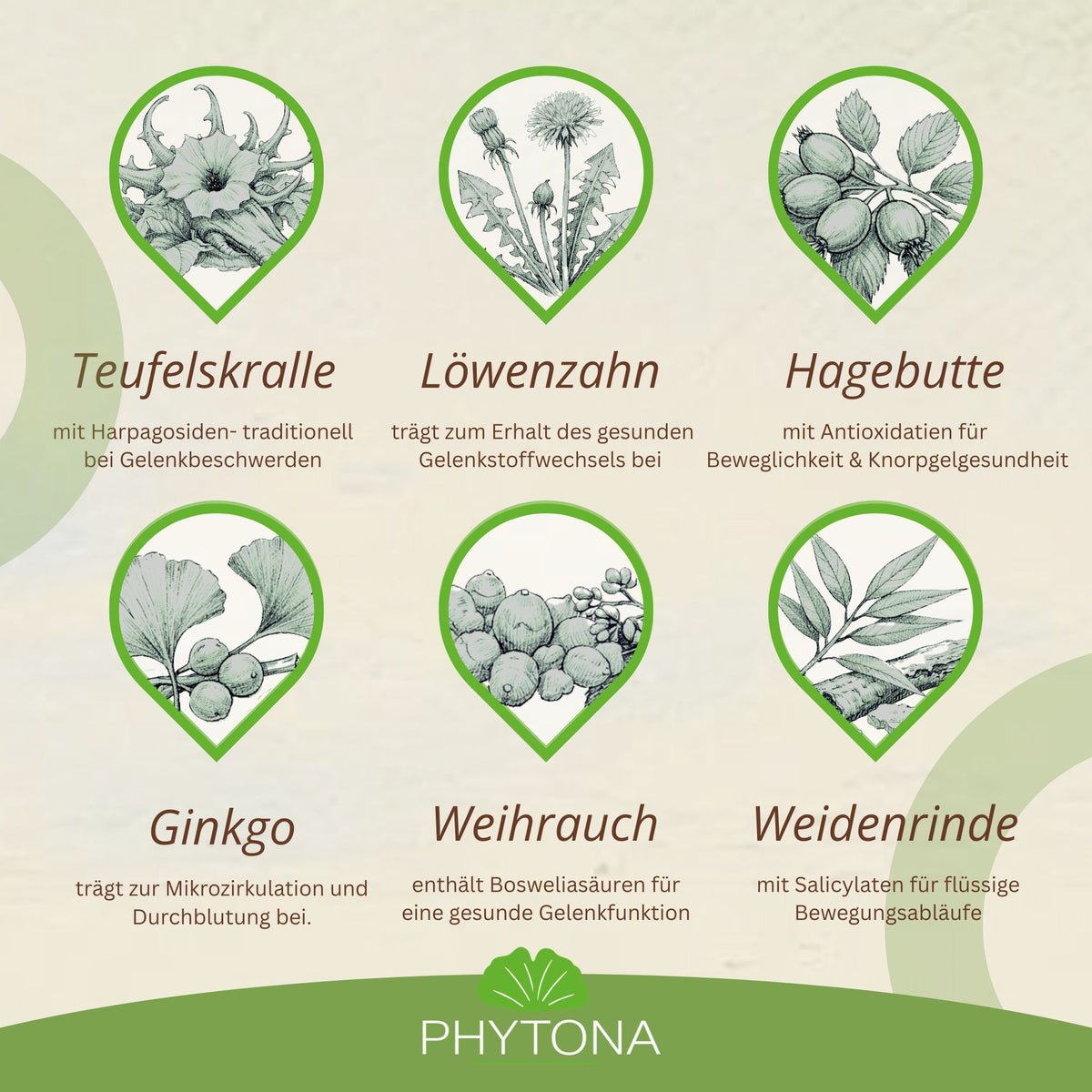 Phytona Arthroten 1500g