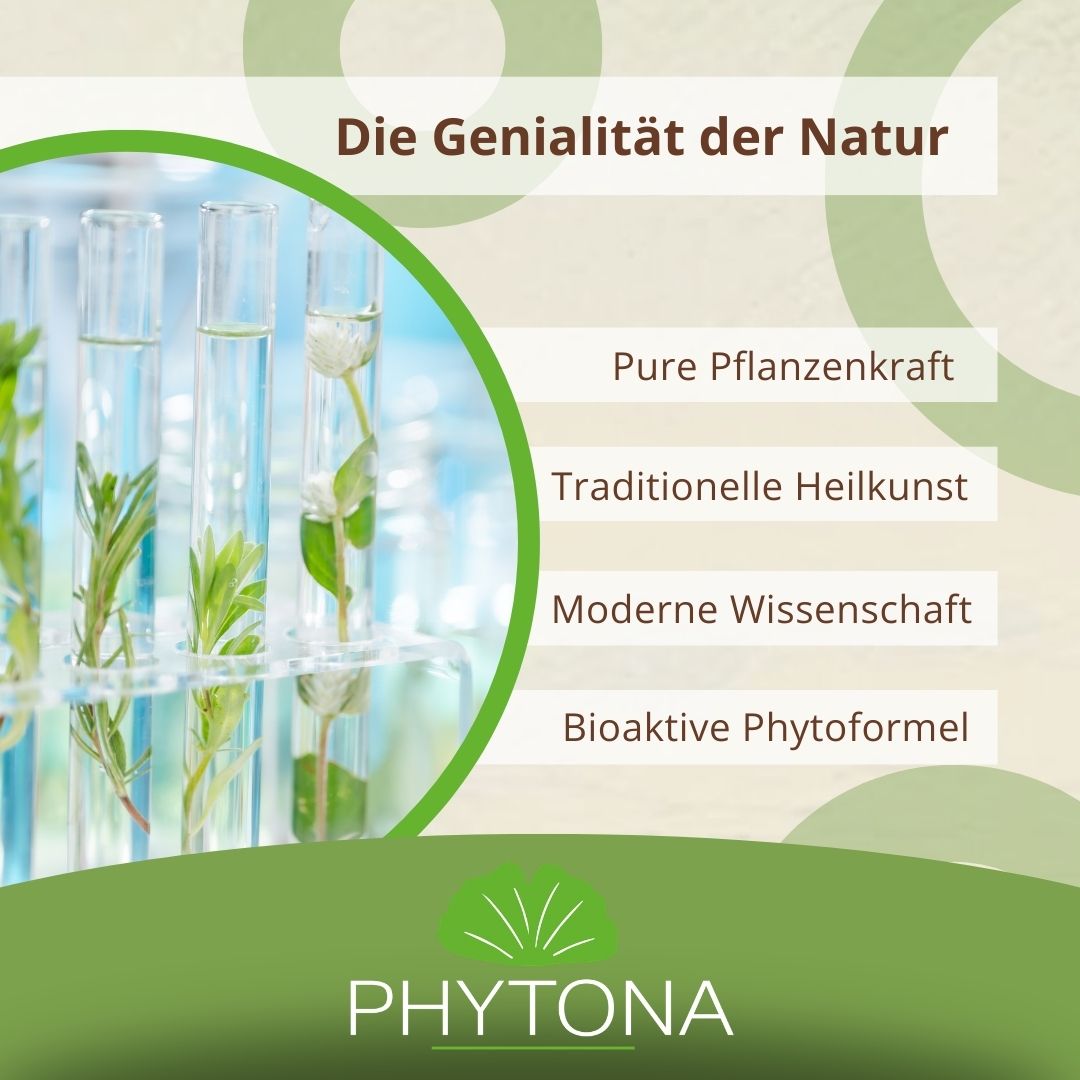 Phytona Arthroten 1500g Gelenkpulver für Pferde