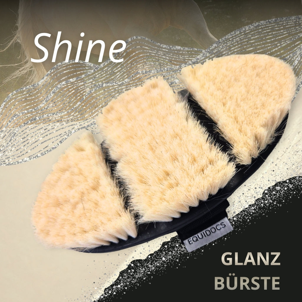 Equidocs Glanzbürste NoirFlex Shine für Pferde