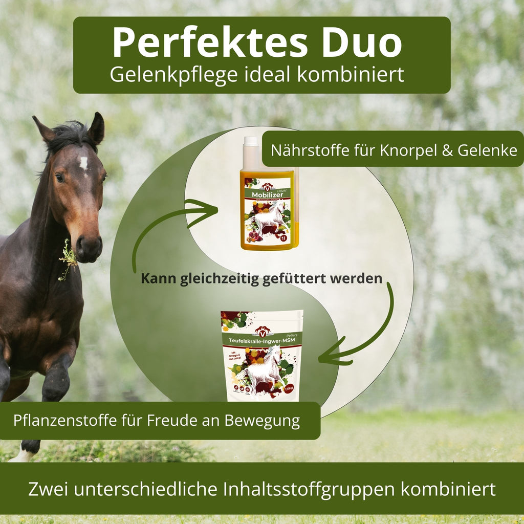 Equidocs Gelenk Duo
