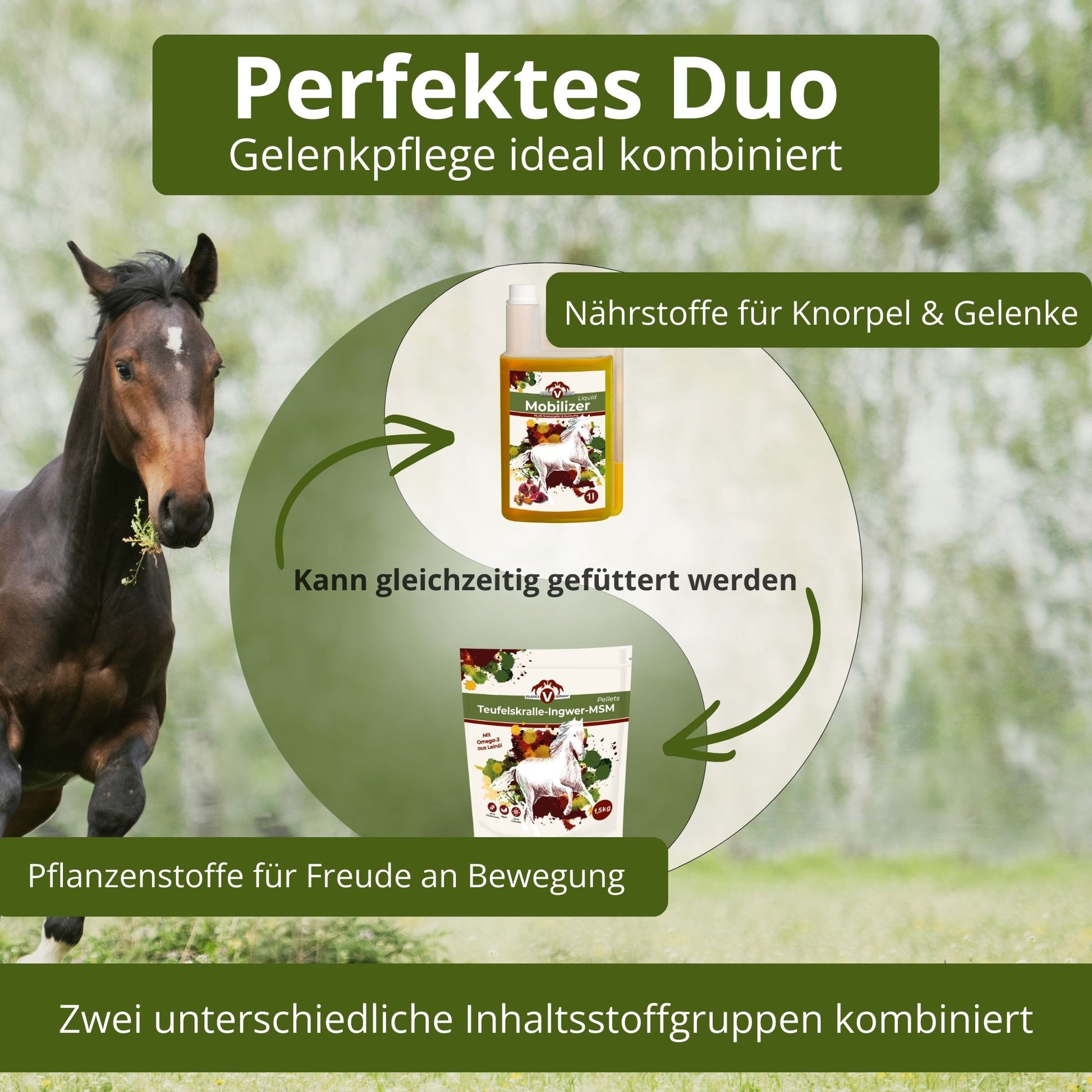 Equidocs Gelenk Duo