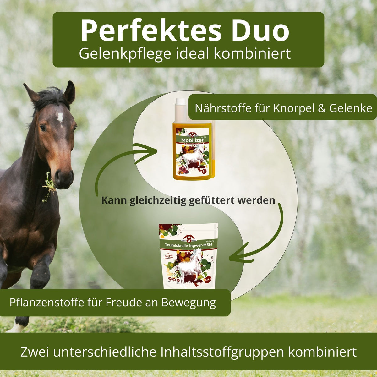 Equidocs Gelenk Duo