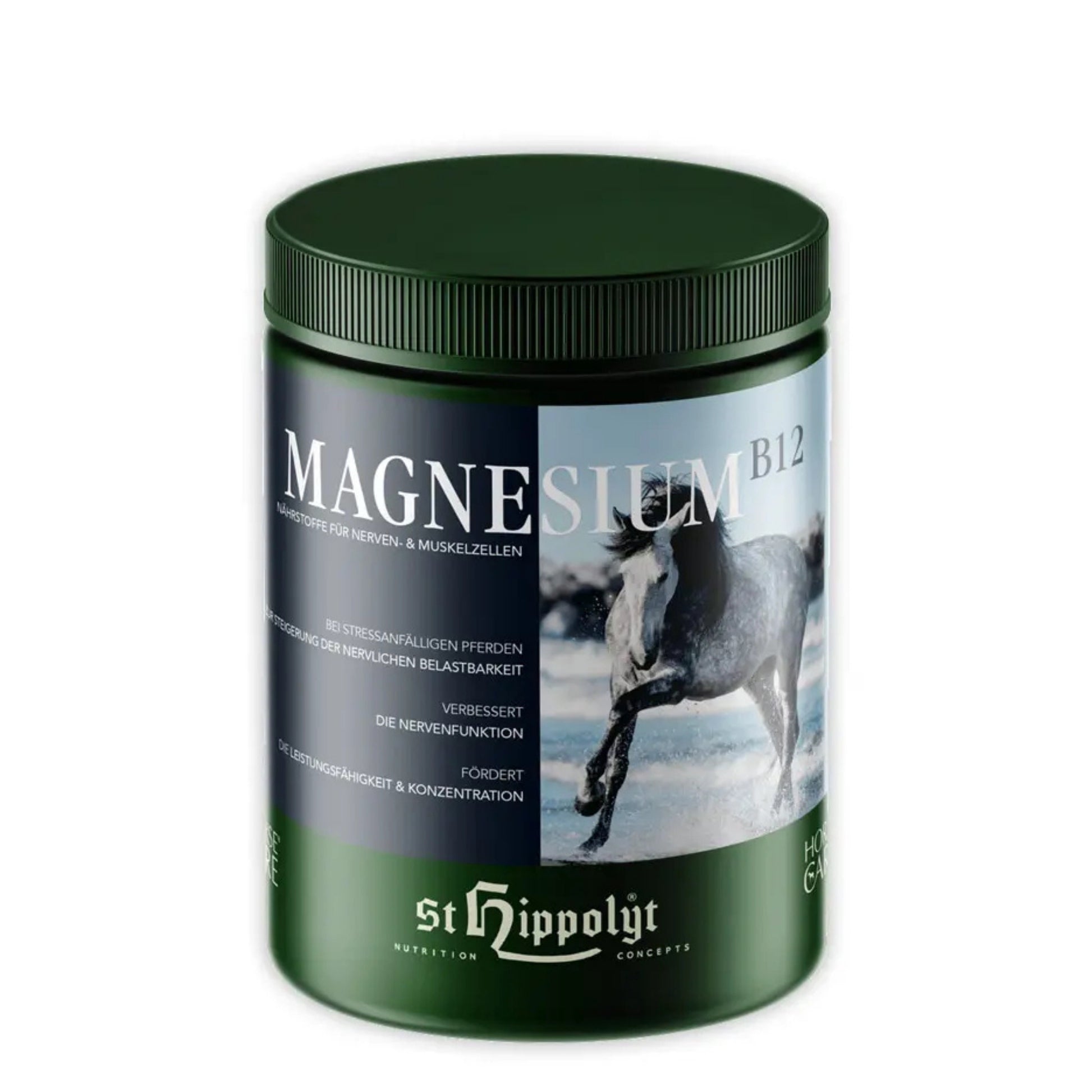 St. Hippolyt Magnesium B-12 1kg