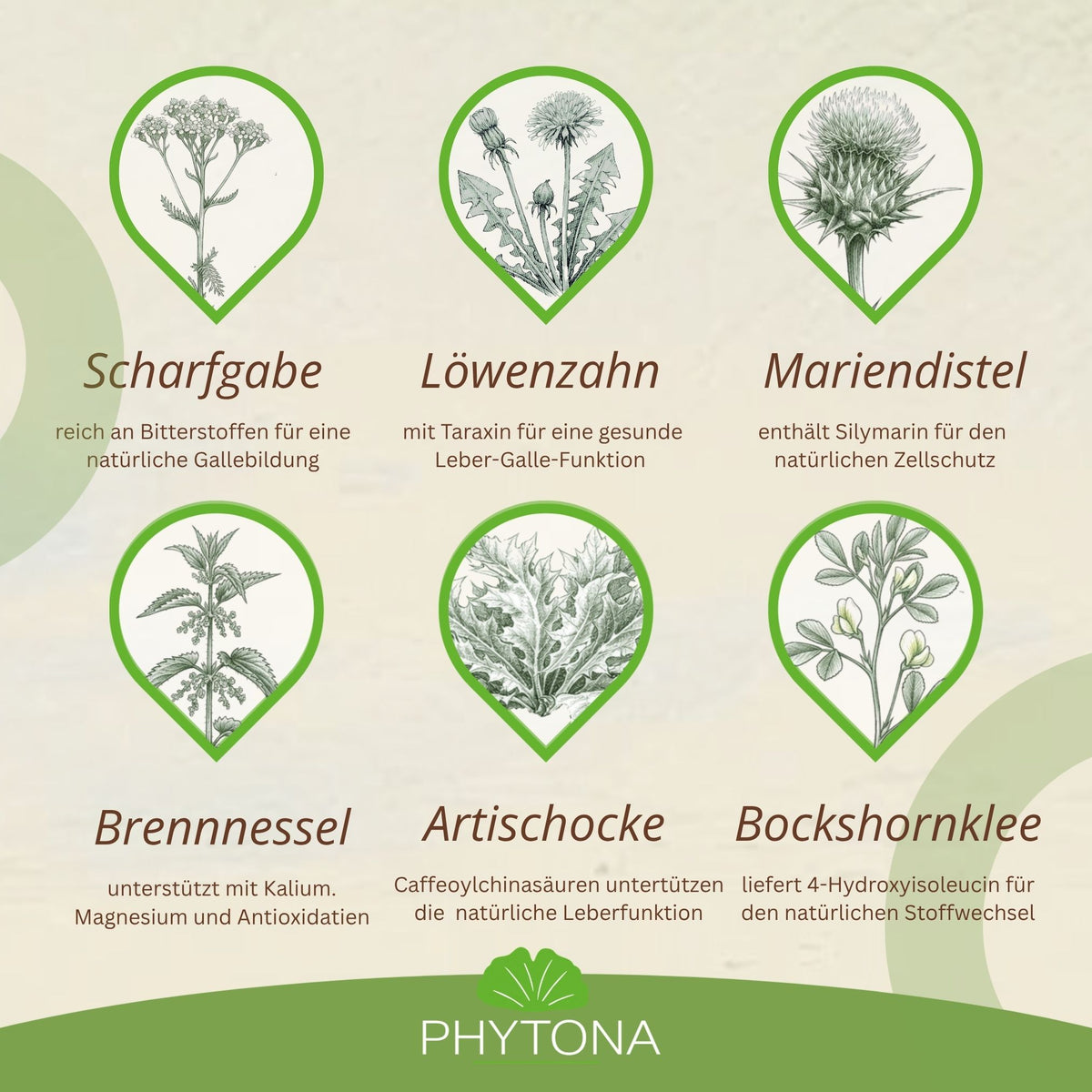 Phytona Heparten 1500g