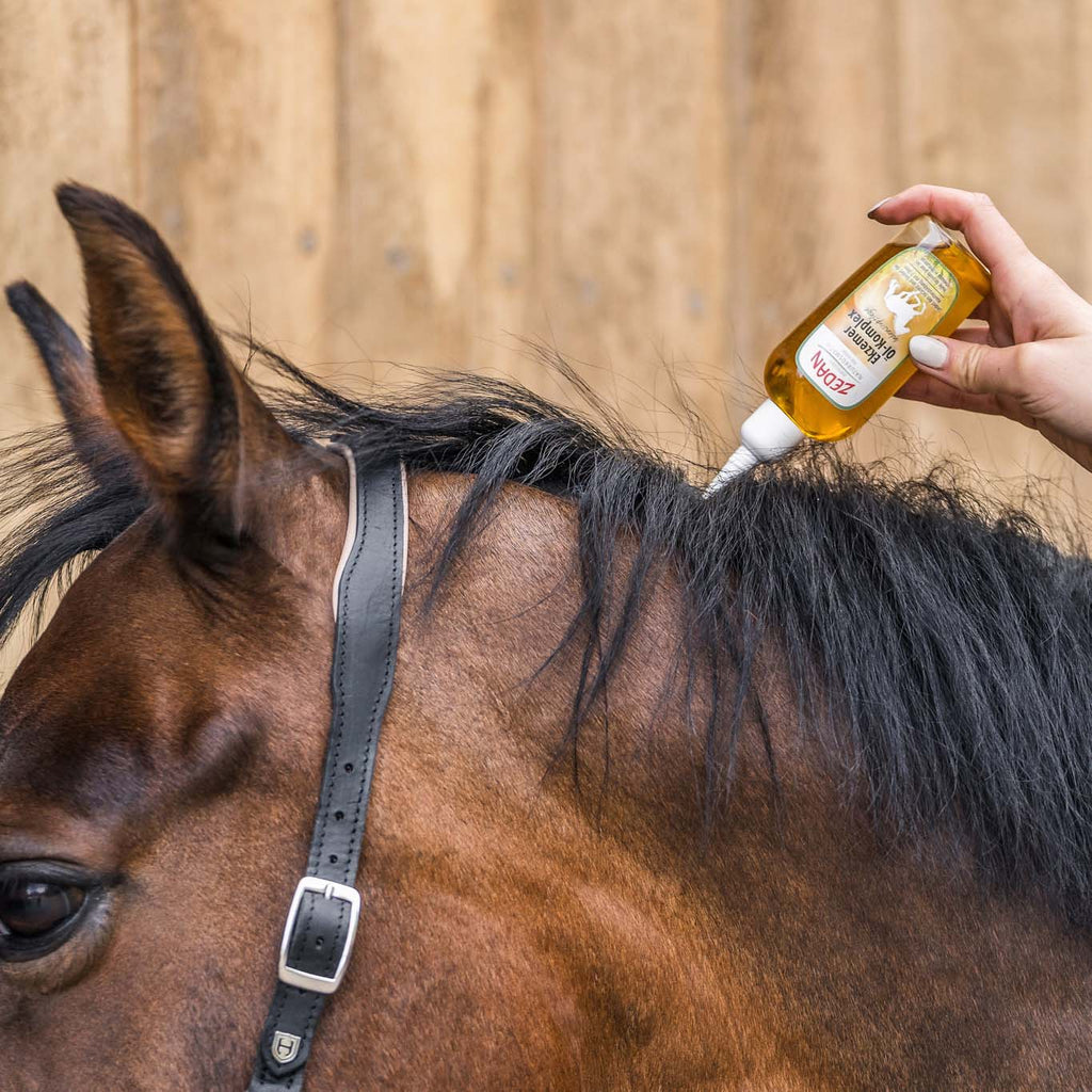 ZEDAN Ekzemer Öl-Intensivpflege 100ml