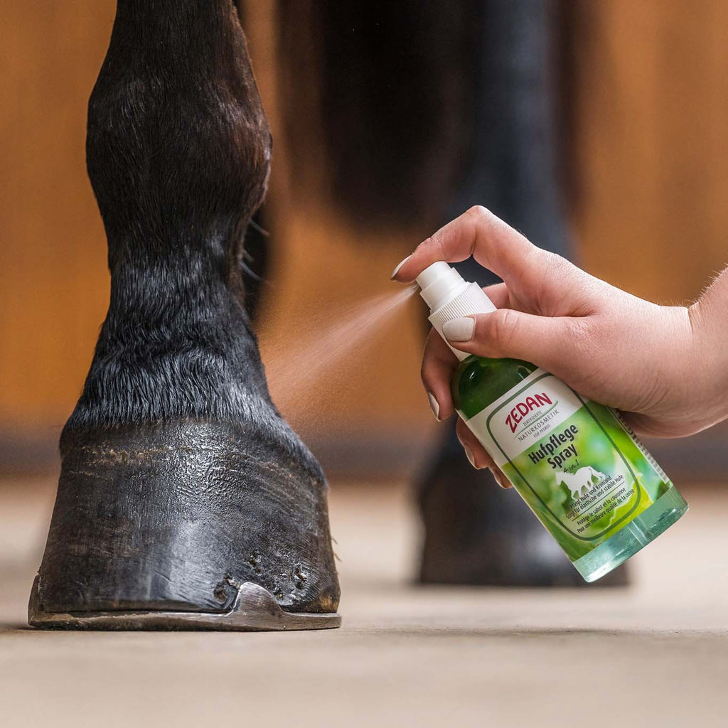 ZEDAN Hufpflege Spray 4 in 1 275ml