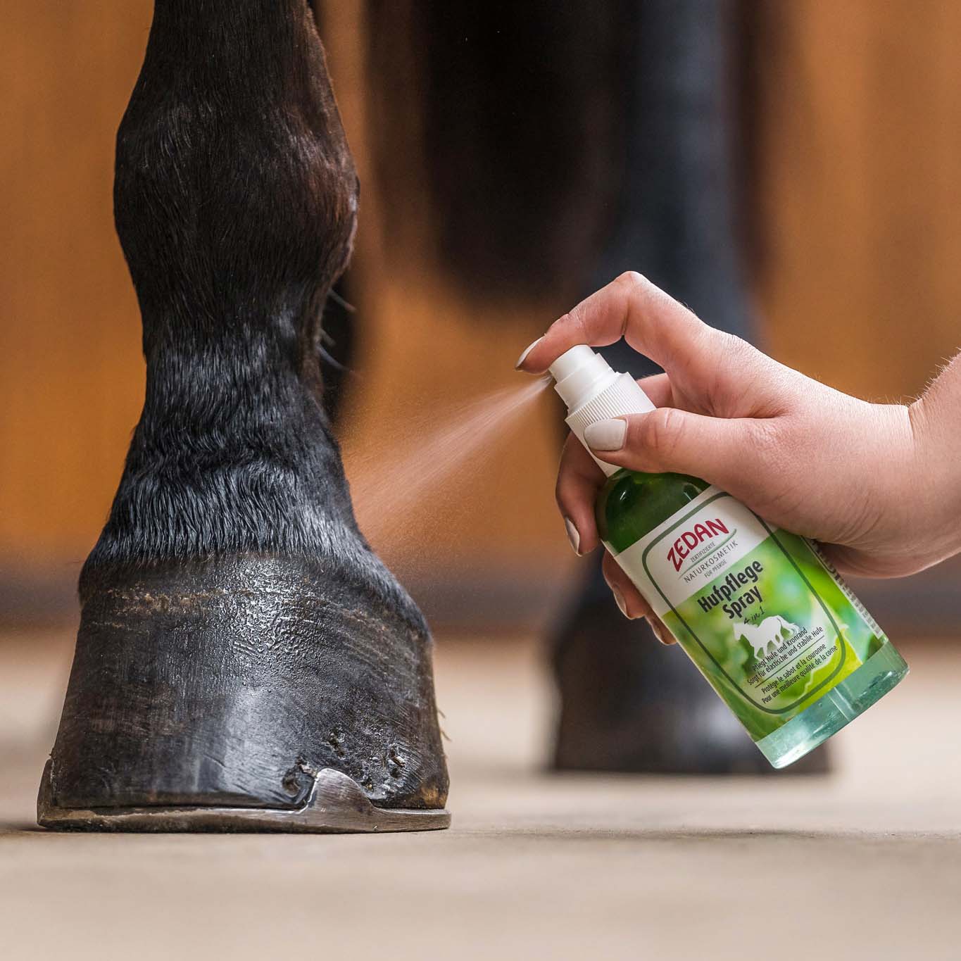 ZEDAN Hufpflege Spray 4 in 1 275ml