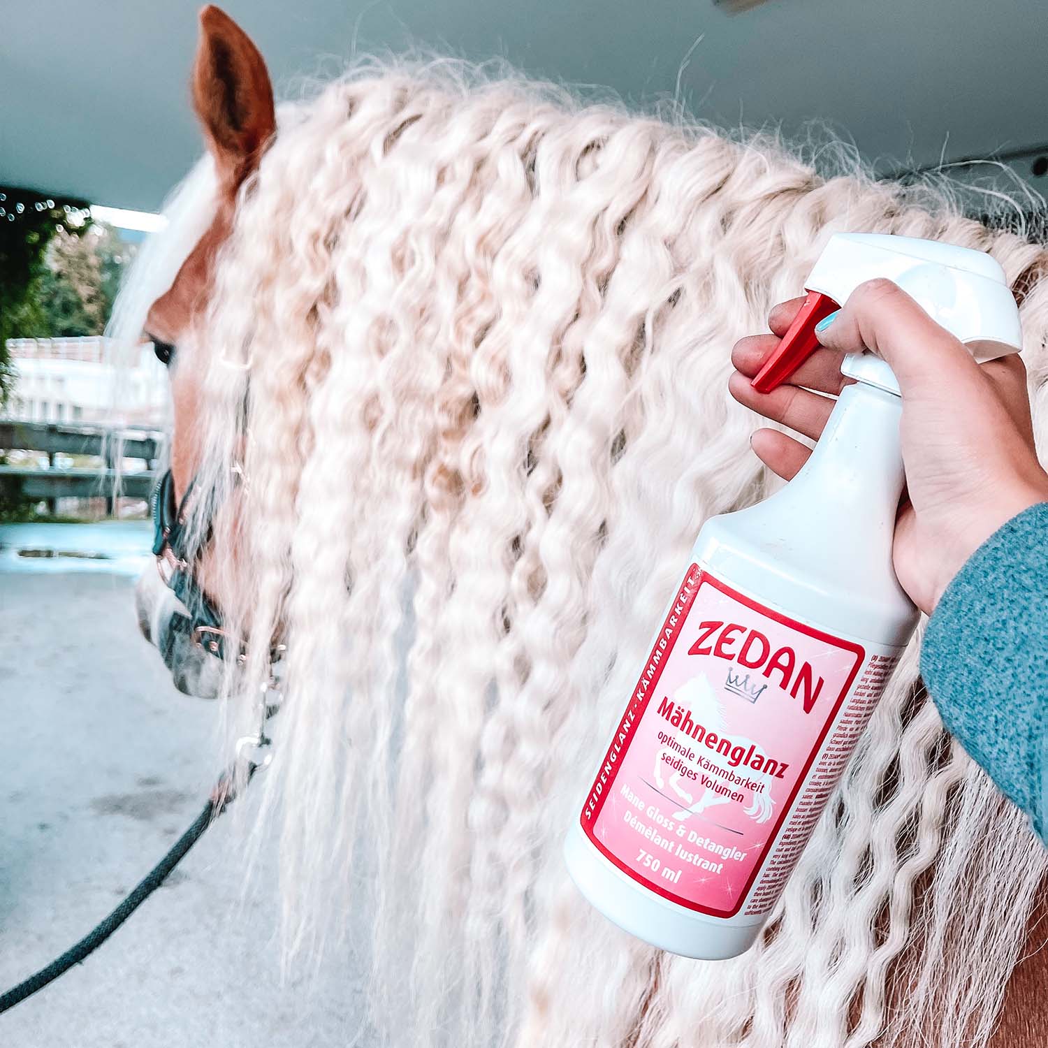 ZEDAN Mähnenglanz 750ml
