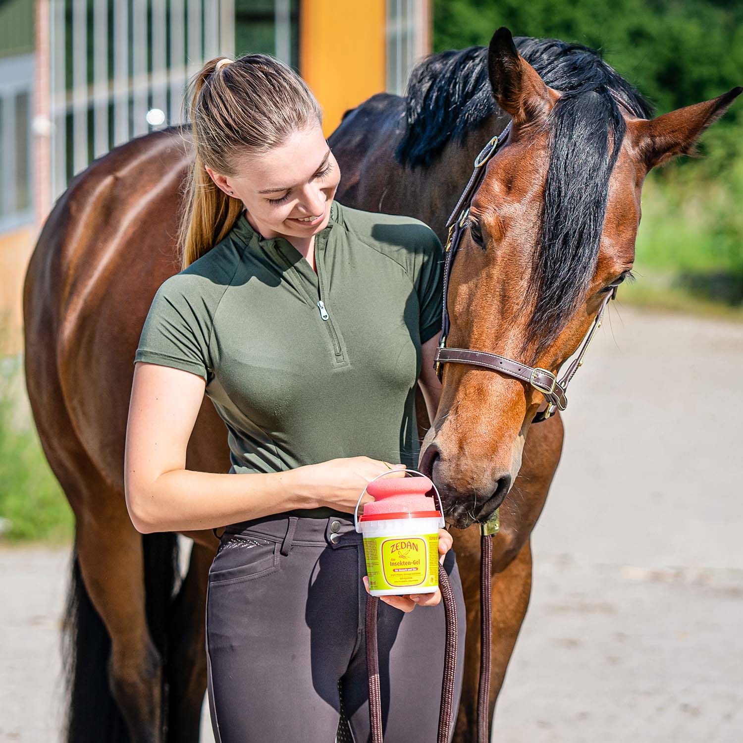 ZEDAN SP das Insekten-Gel mit Schwamm 500ml