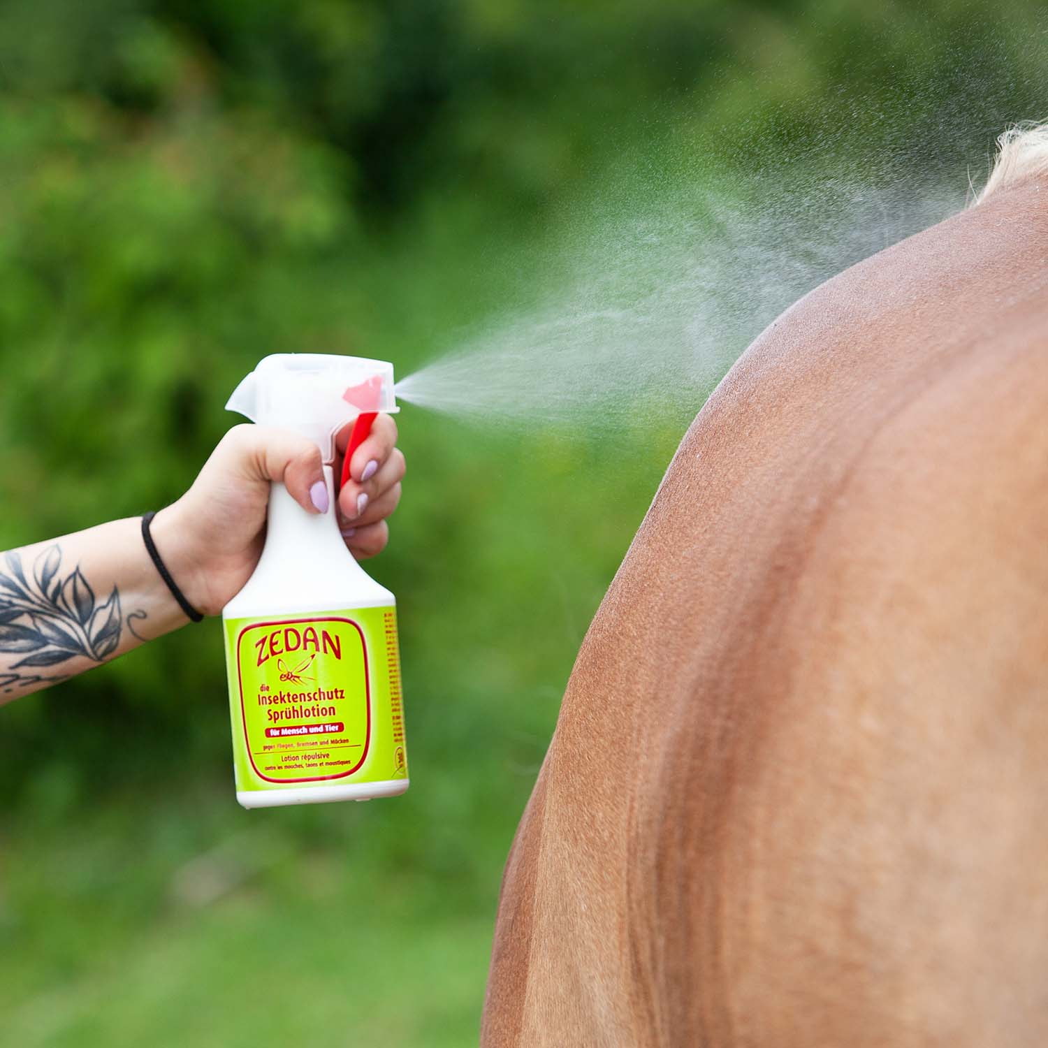 ZEDAN SP die Insektenschutz Sprühlotion 500ml