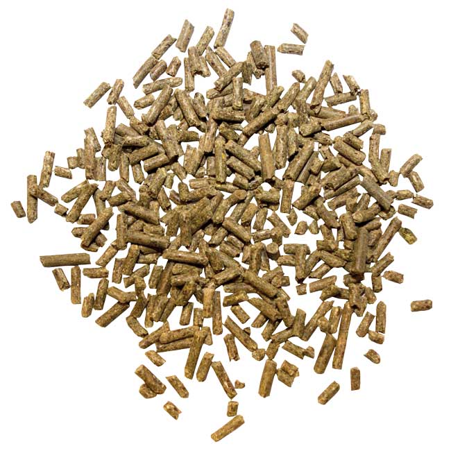 Marstall Force Mineralfutter-Konzentrat 10kg Eimer