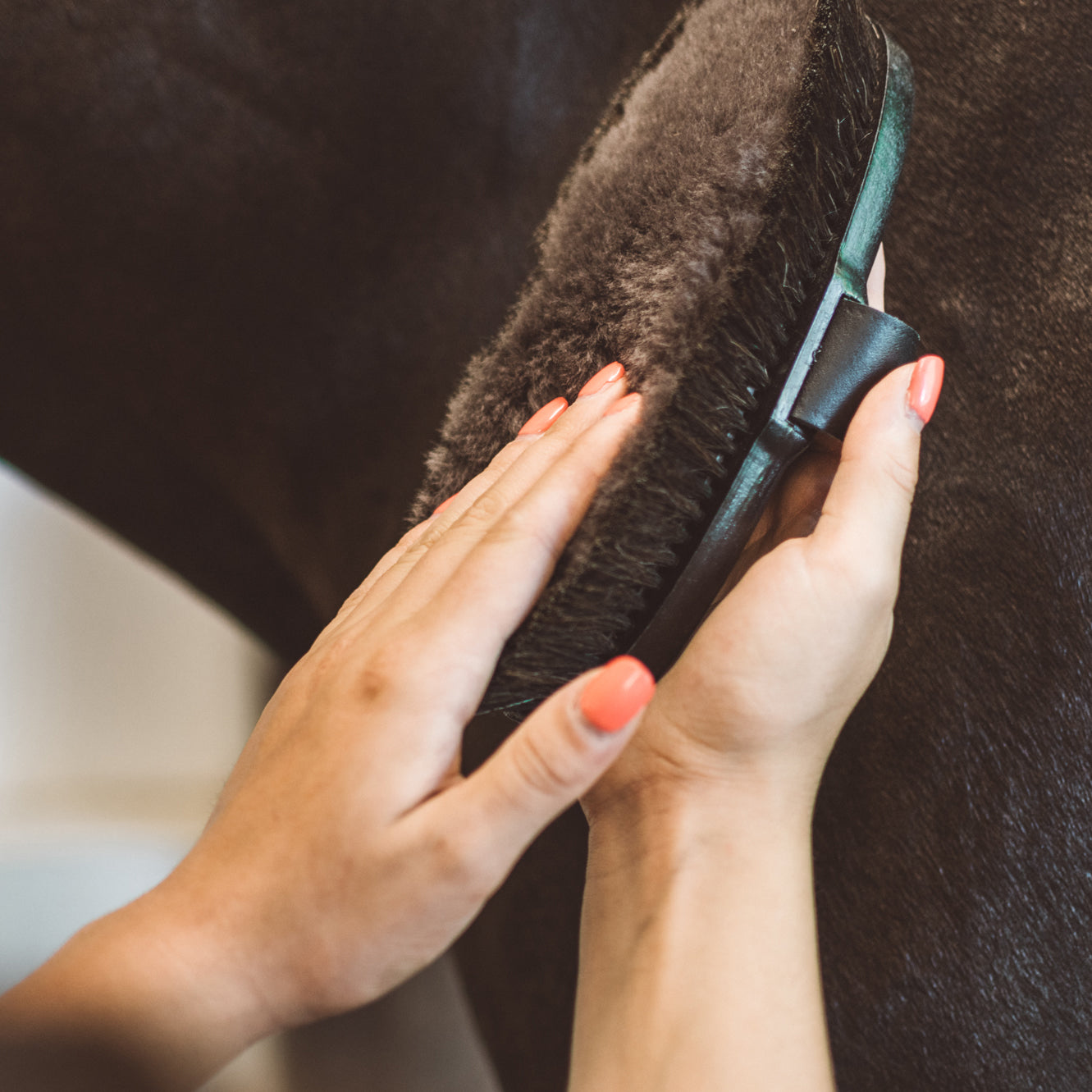 Equidocs Glanzbürste groß für Pferde
