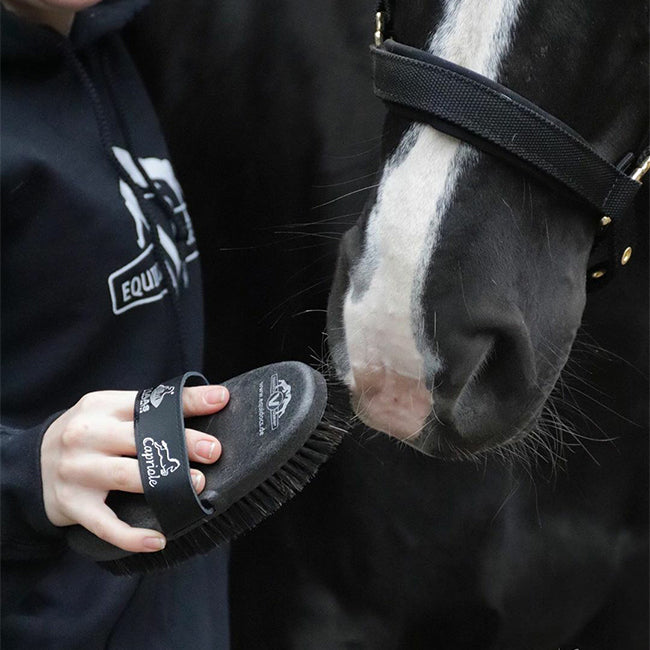 Equidocs Kardätsche für Pferde
