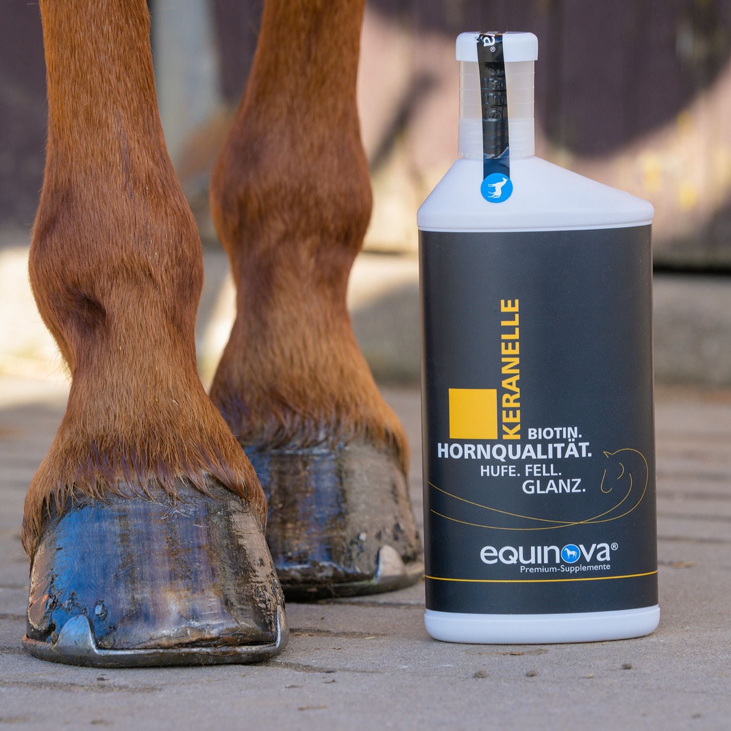 equinova Keranelle Liquid 1000ml