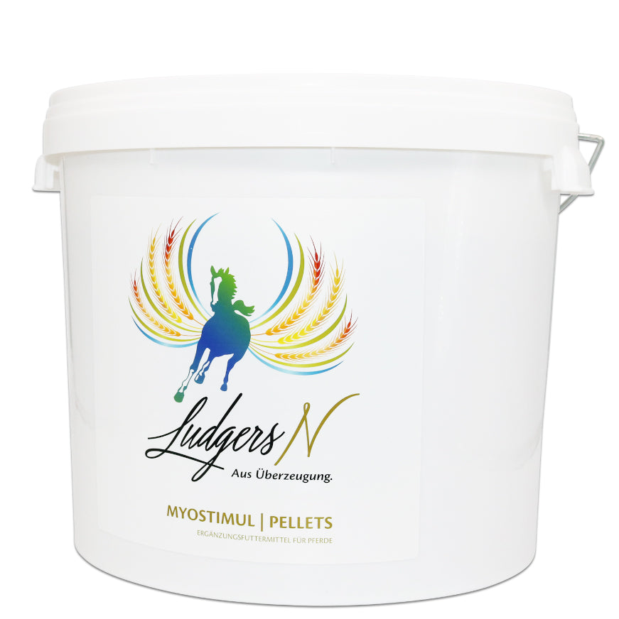 Ludgers N Myostimul 10kg