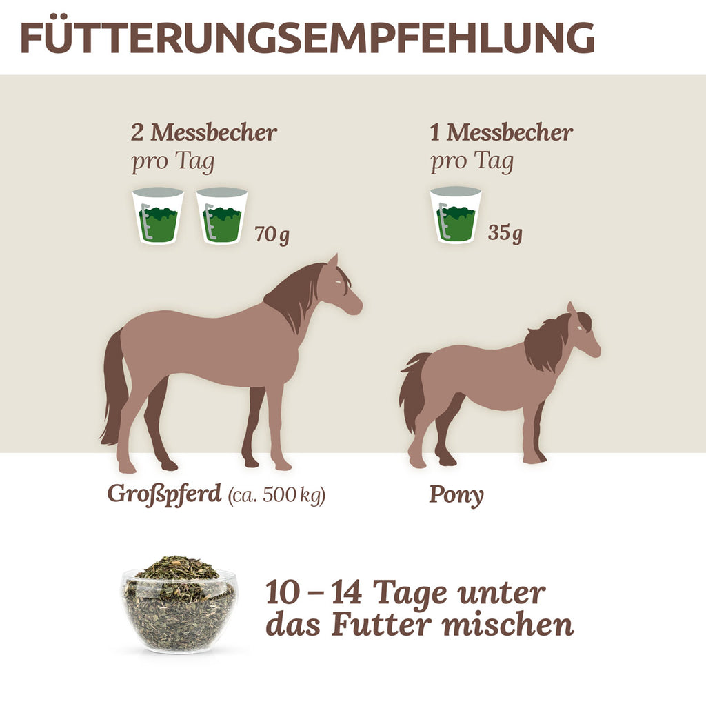 AniForte Bronchial Kräuter 1kg