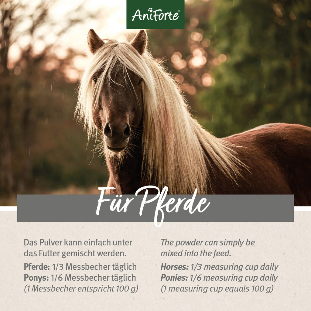 AniForte 4in1 Complete Horse 3000g