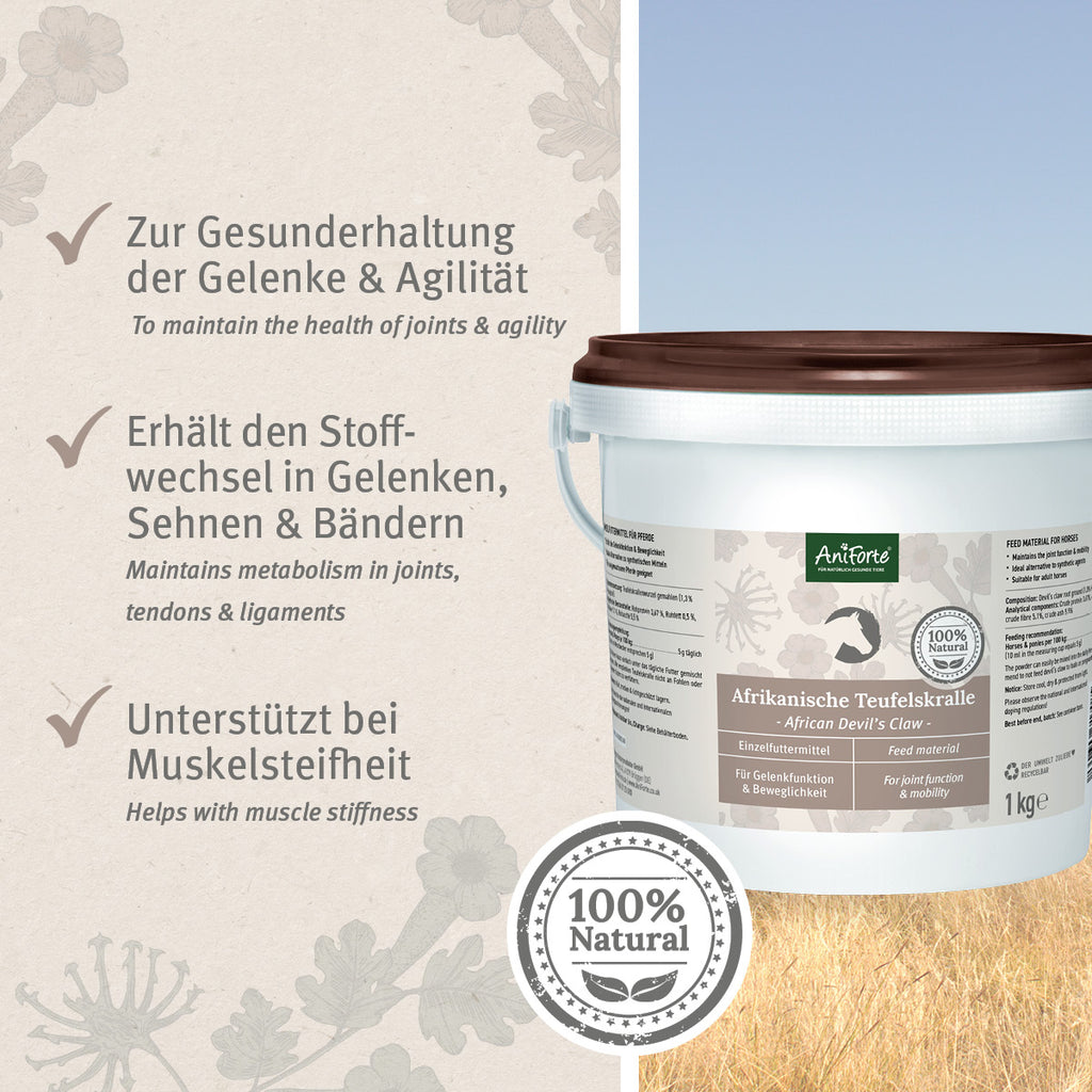 Aniforte Afrikanische Teufelskralle 1000g