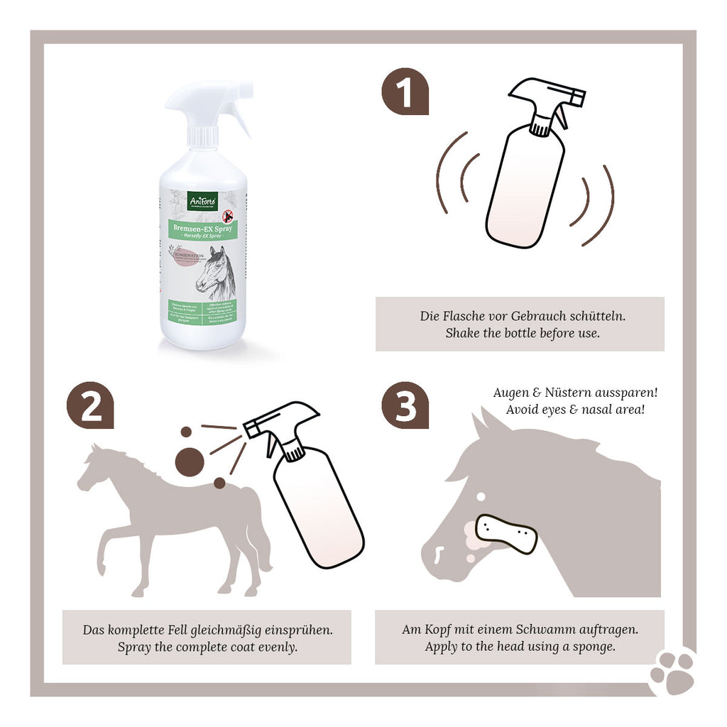 AniForte Bremsen Ex Spray 1000ml