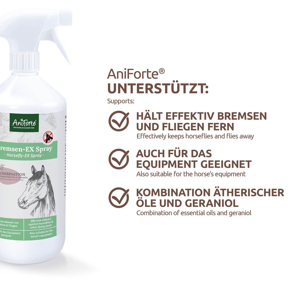AniForte Bremsen Ex Spray 1000ml