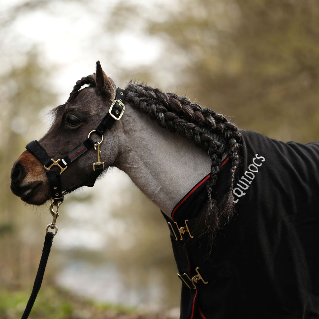 Equidocs Nylonhalfter schwarz Gr. Mini Shetty