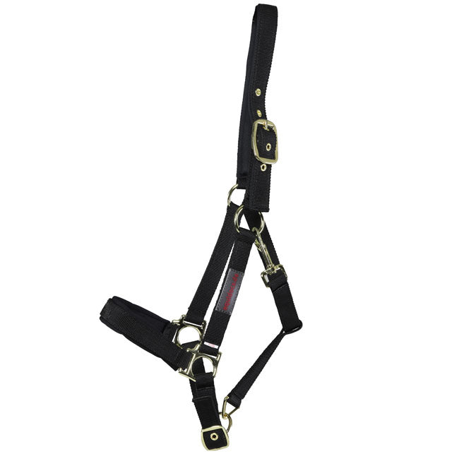 Equidocs Nylonhalfter schwarz Gr. Pony