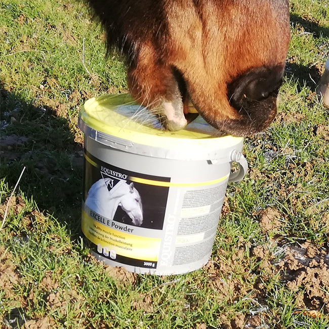 Equistro Excell E Powder 3000 g