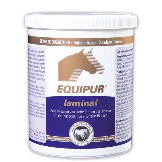 EQUIPUR Laminal 1000g