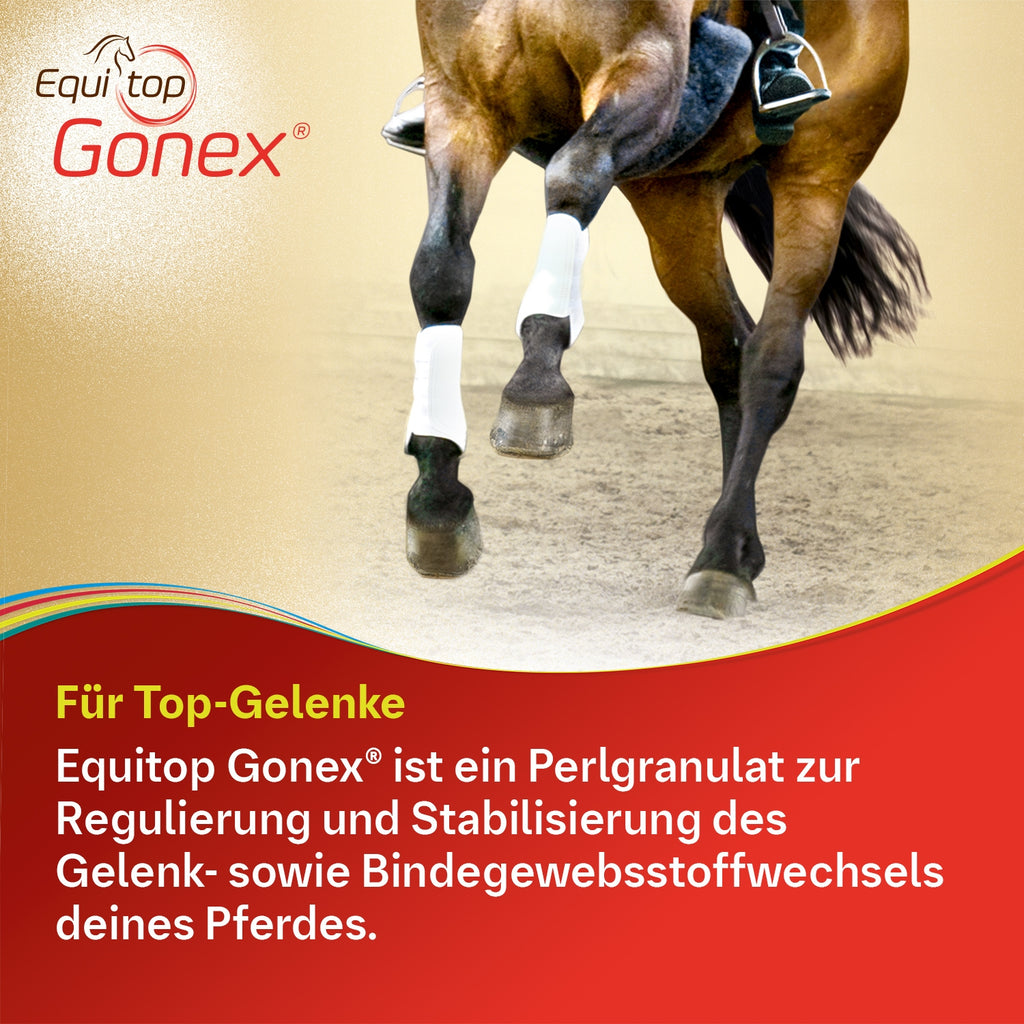 Equitop Gonex Gelenknahrung für Pferde 750 g