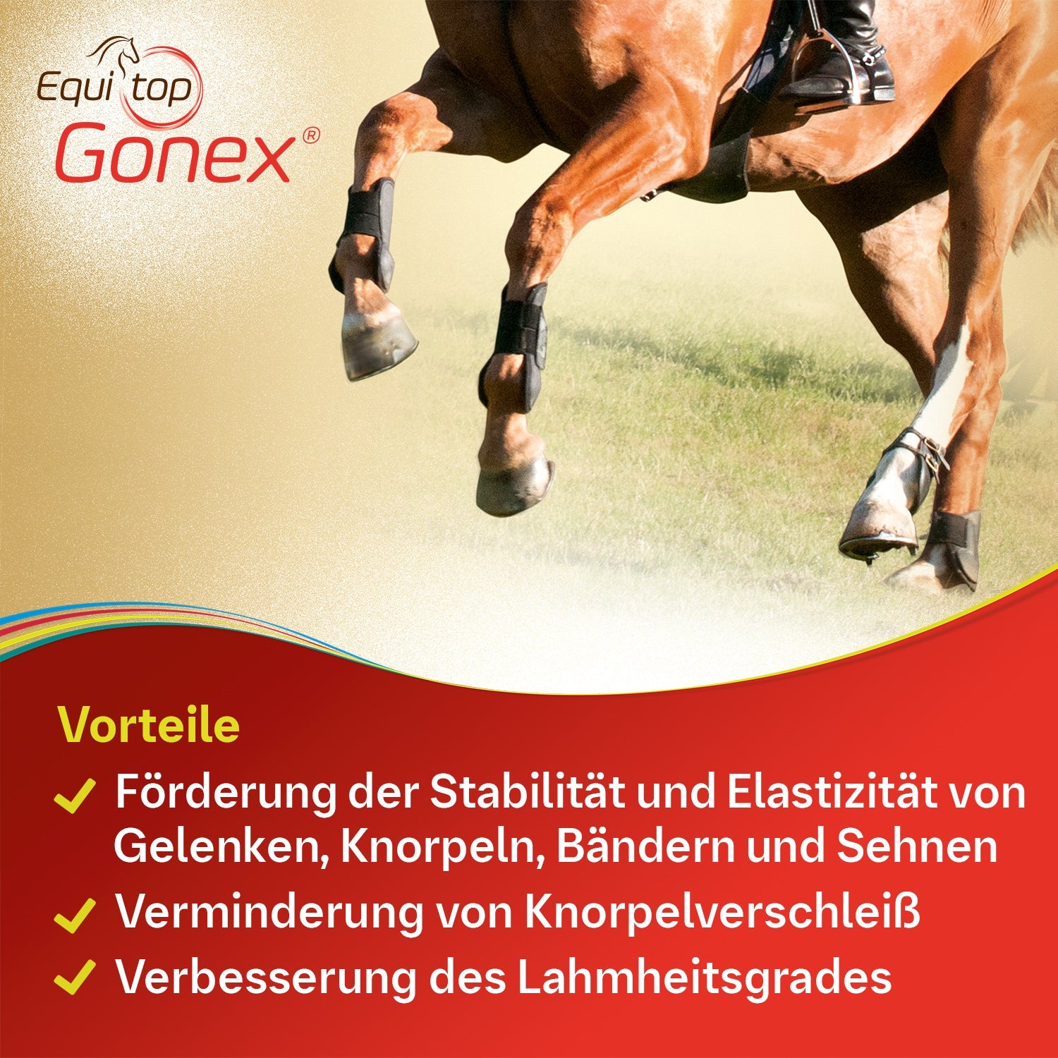 Equitop Gonex Gelenknahrung für Pferde 750 g