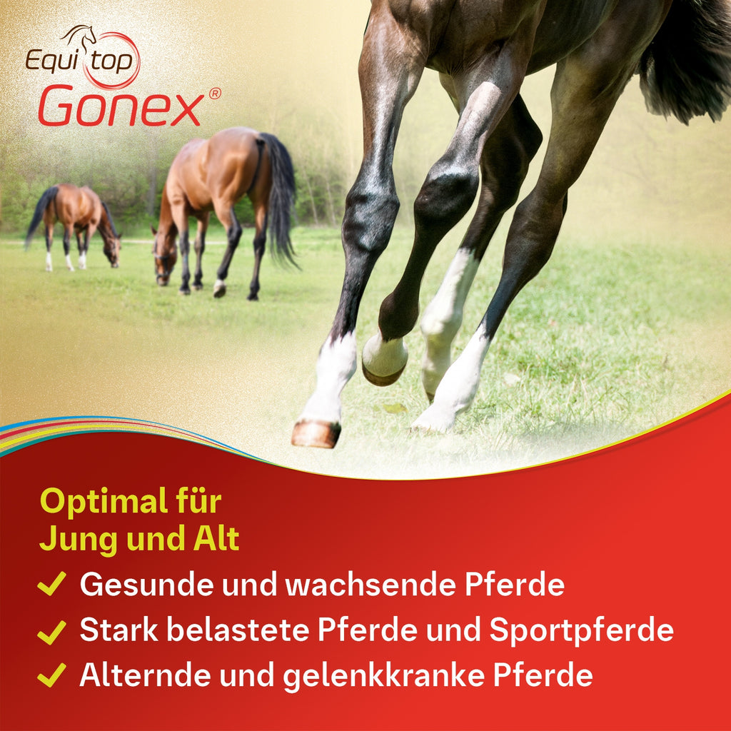 Equitop Gonex Gelenknahrung für Pferde 750 g
