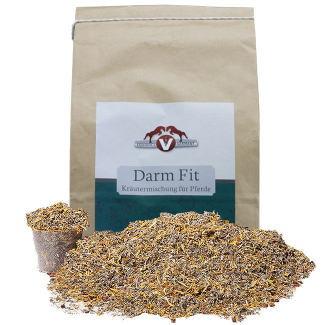Equidocs Kräutermischung DarmFit 1000 g