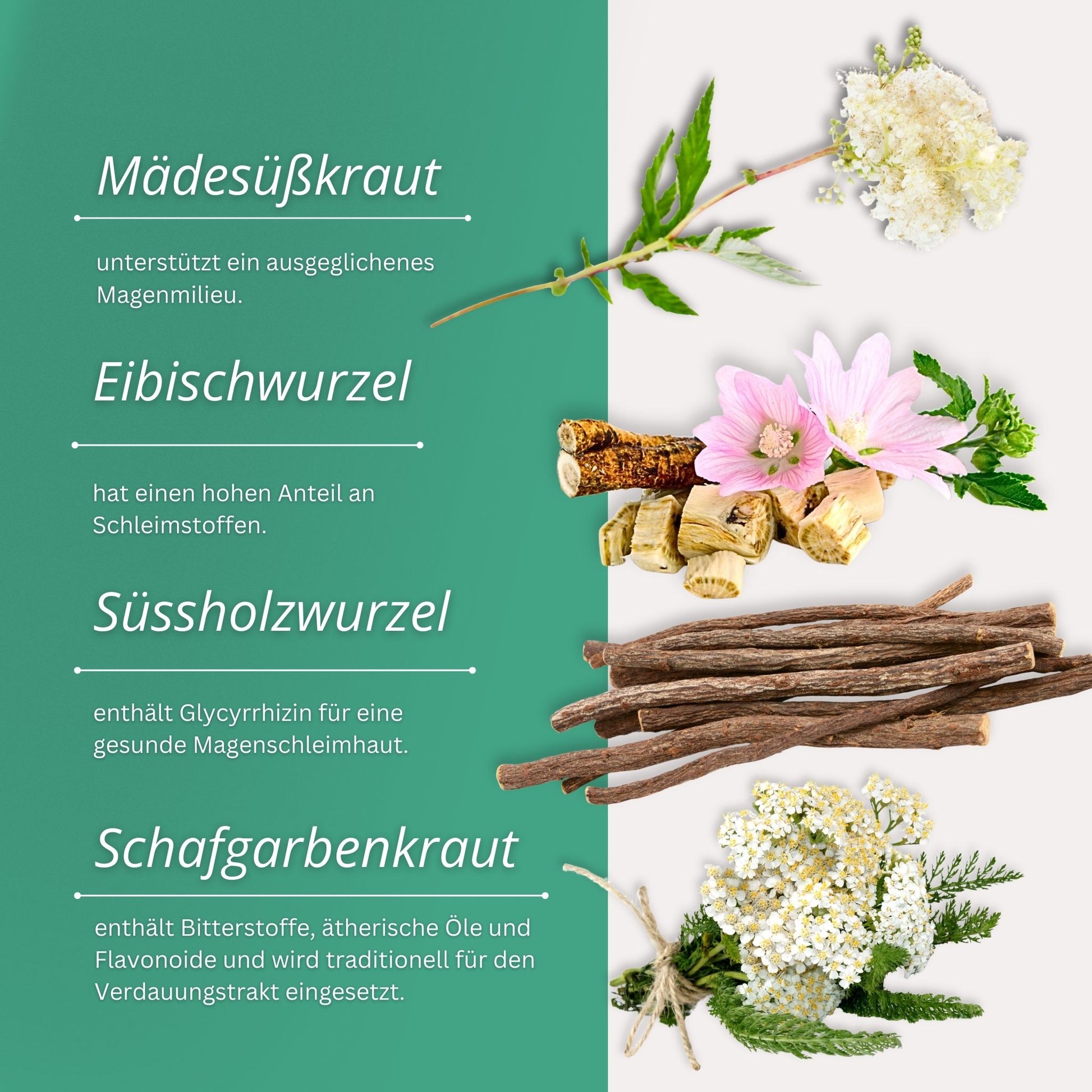 Equidocs Kräutermischung Magen Ruhe 1000 g
