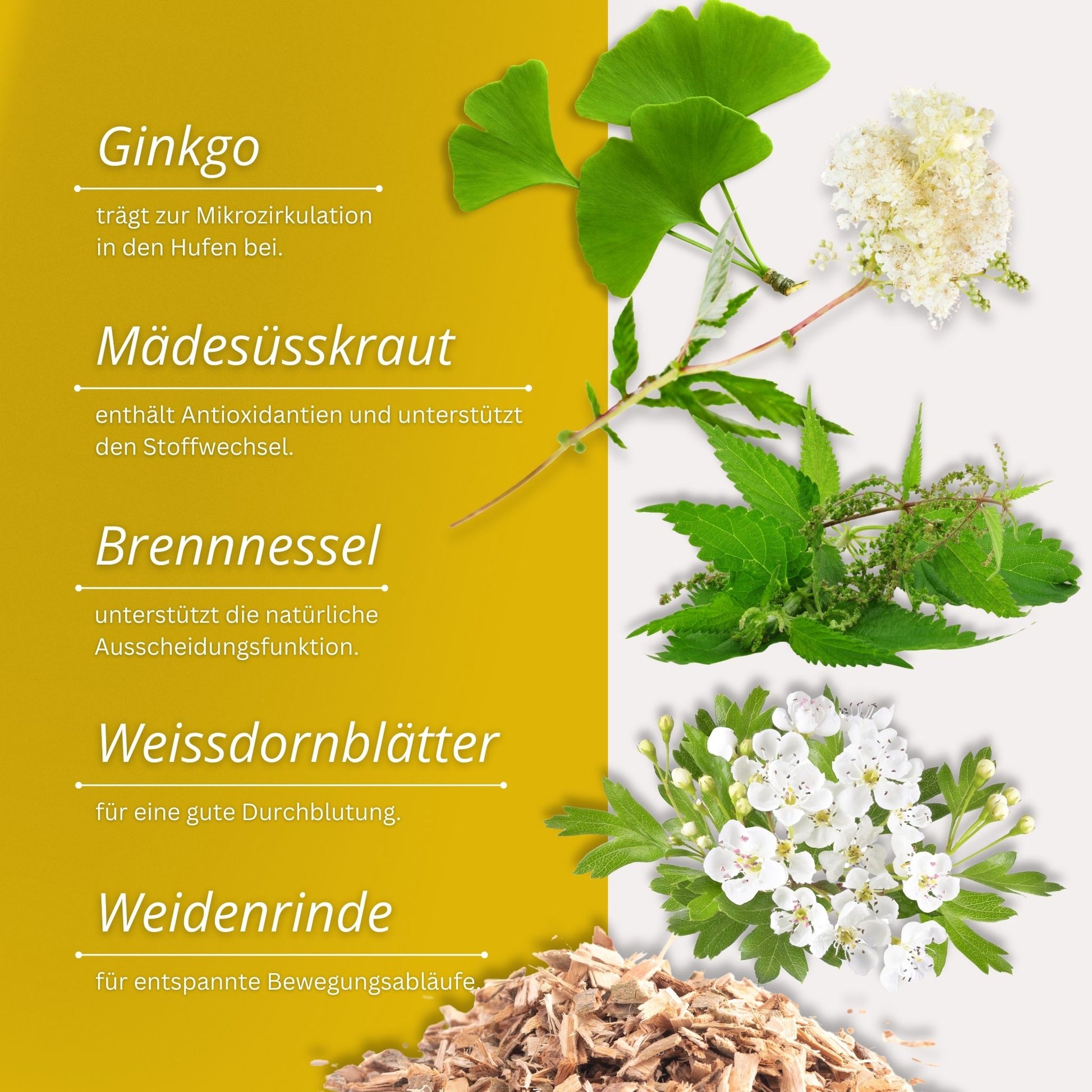 Equidocs Kräutermischung Rehe Akut 1000 g