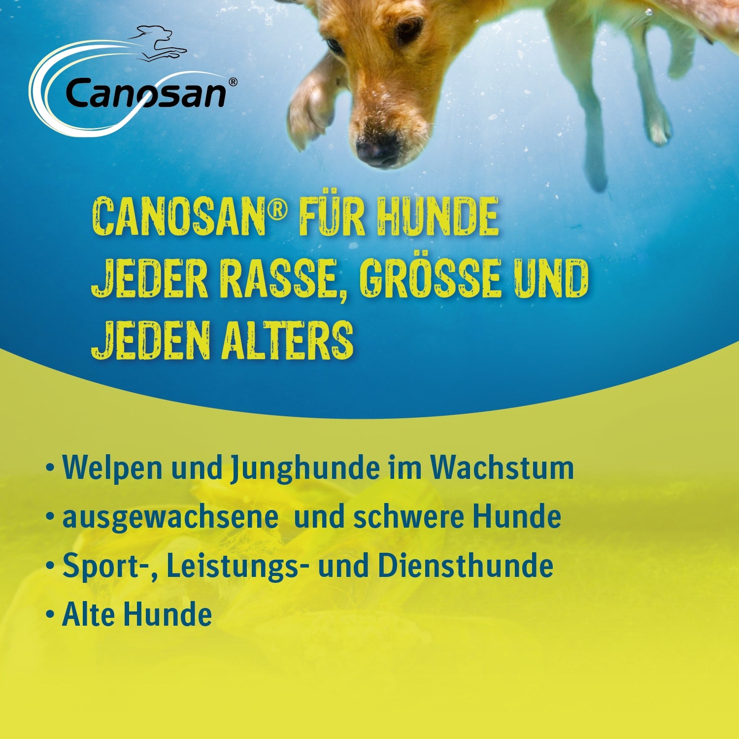 Canosan Pellets mit 4 % Gonex 650 g