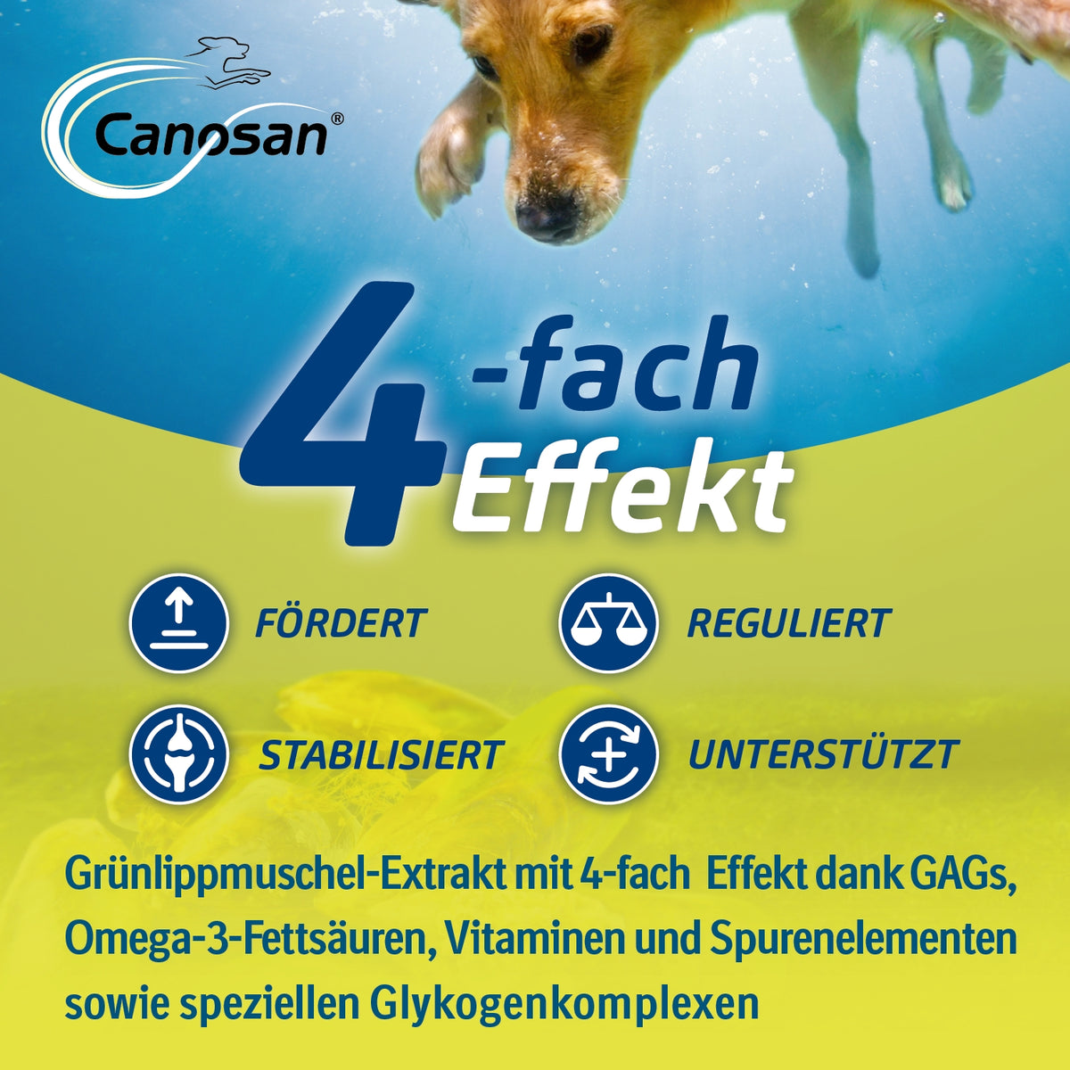 Canosan Pellets mit 4 % Gonex 1300 g