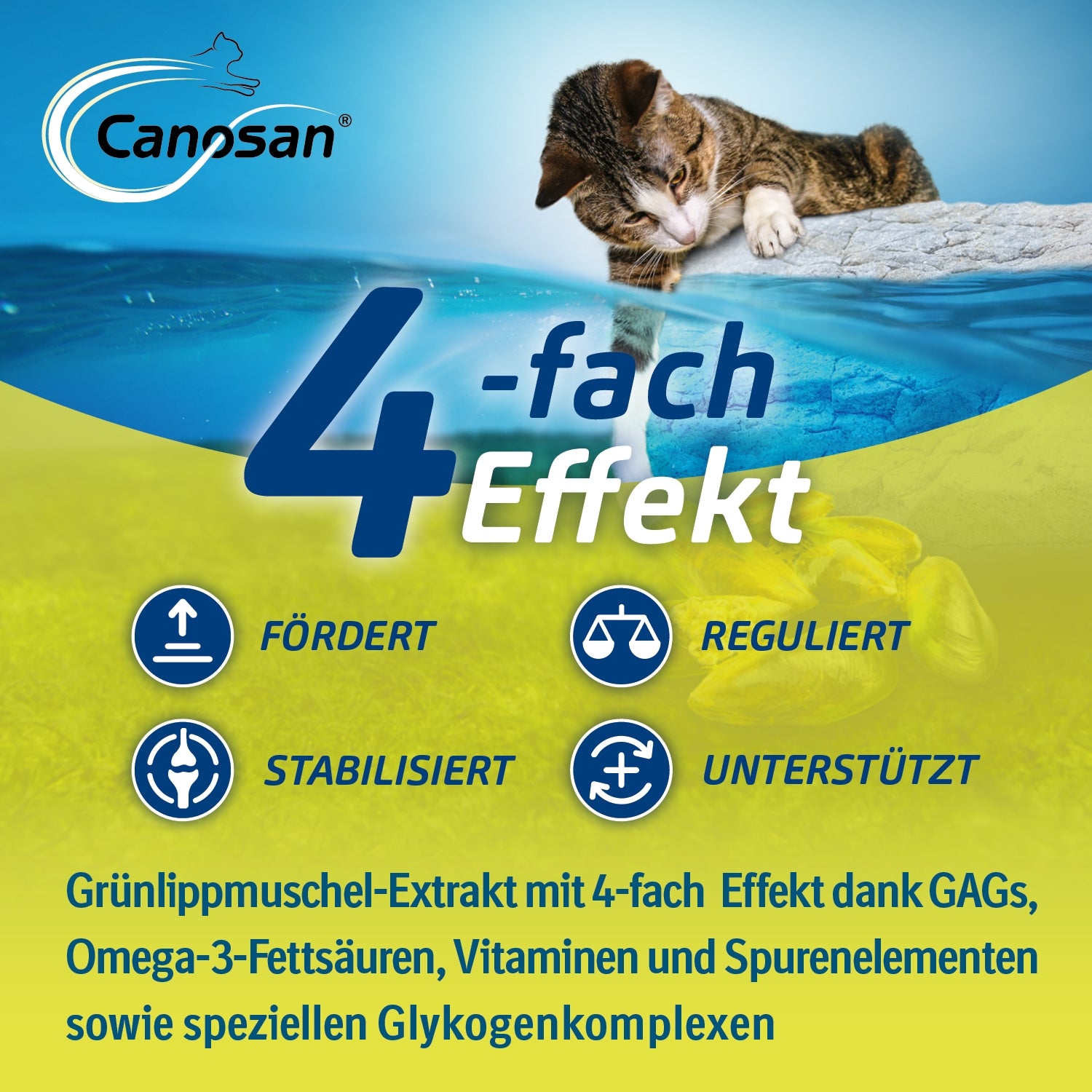 Canosan Kautabletten für Katzen 30 Stk. MHD 31.10.2026