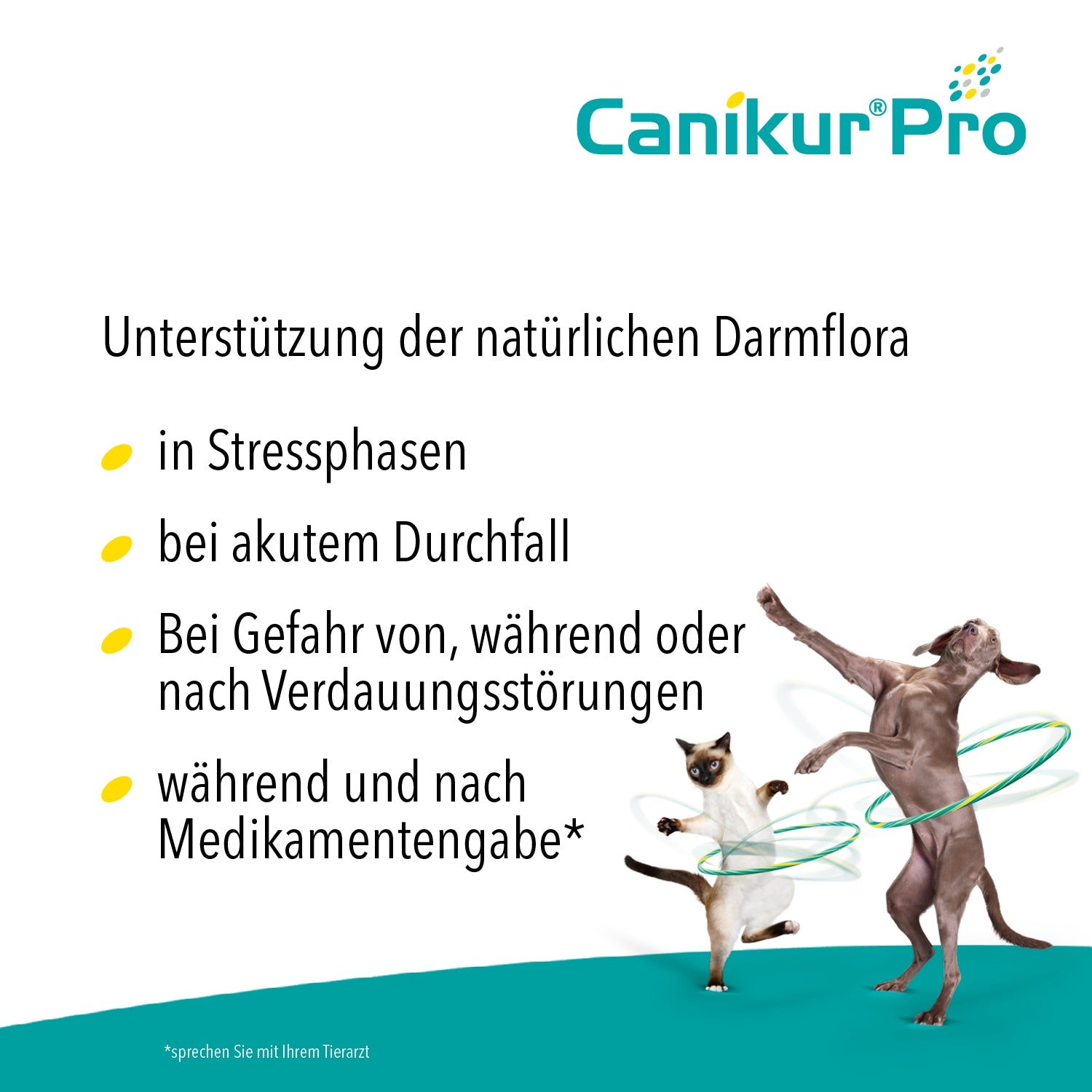 Canikur Pro Paste 30ml