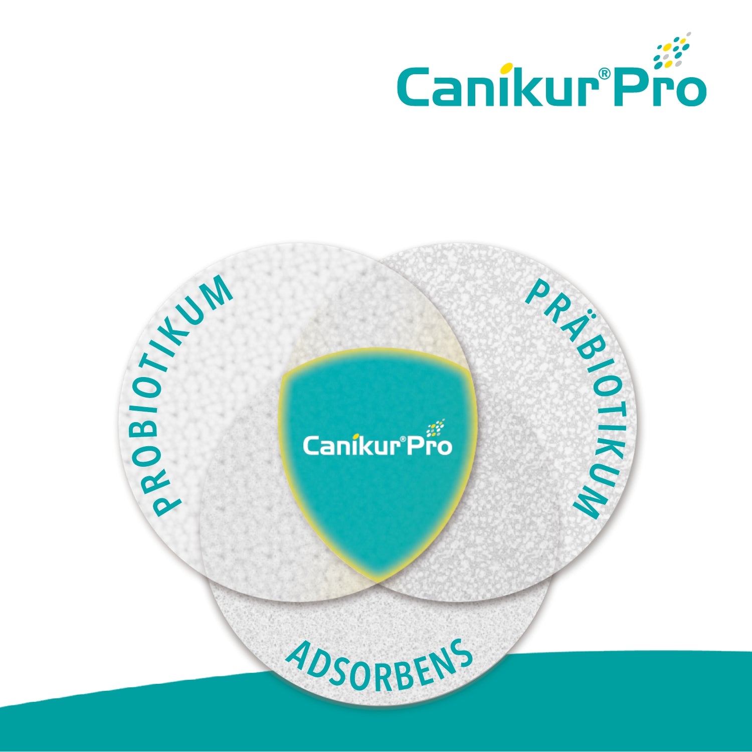 Canikur Pro Paste 30ml