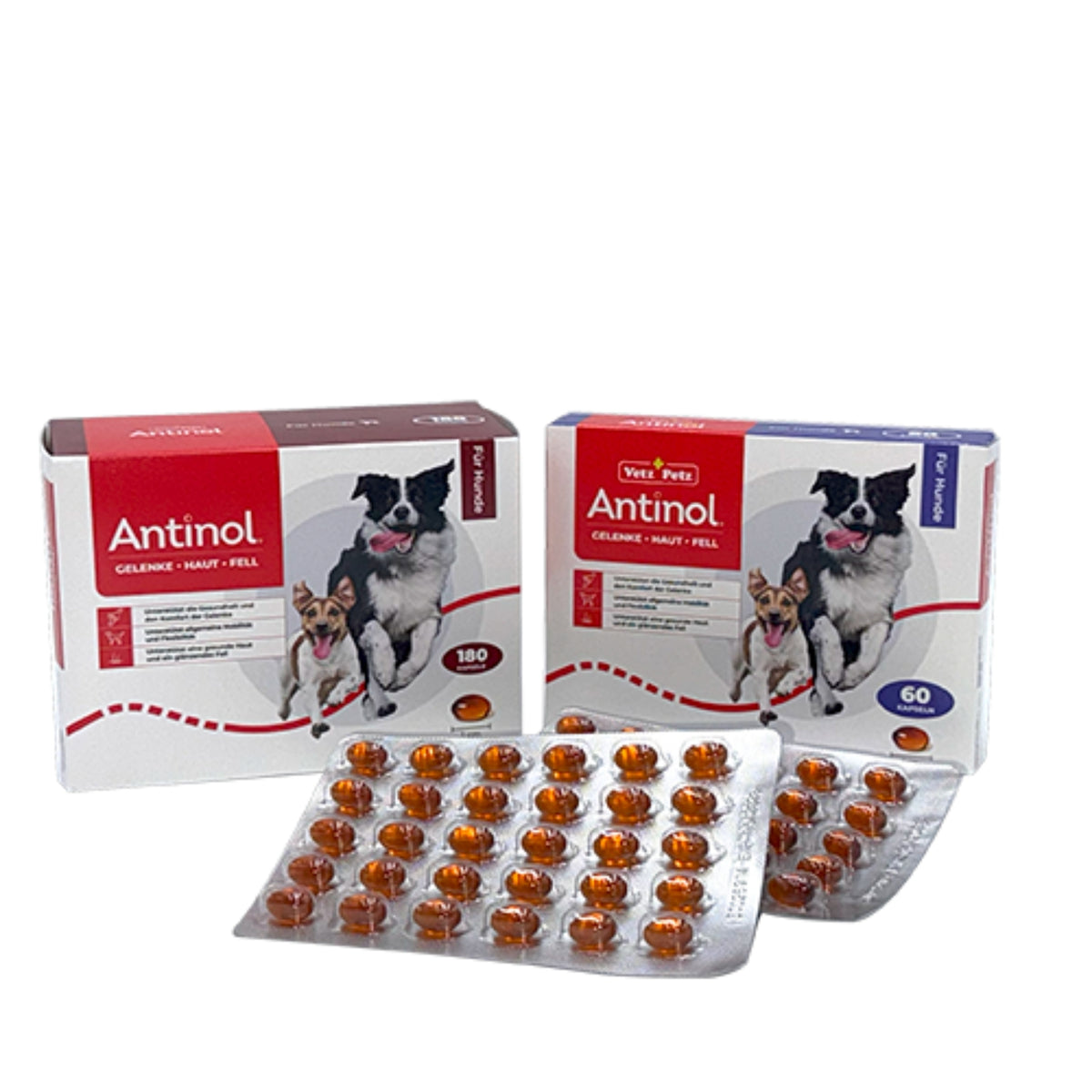 Antinol für Hunde 60 Kapseln